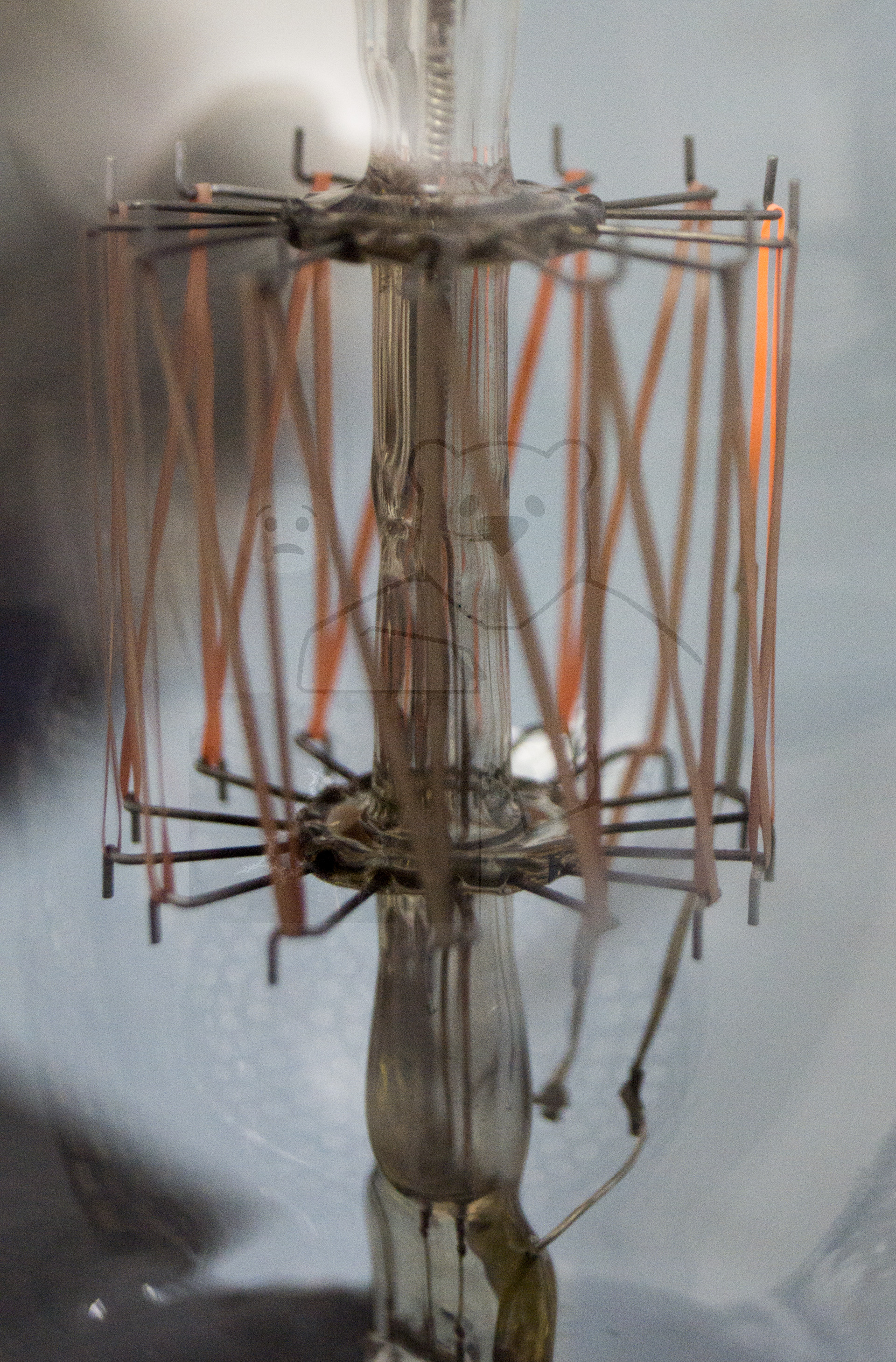 Liebenröhre, Seriennummer 'Ss990' Betrieb - Bild 06 - Detailansicht Heizfaden