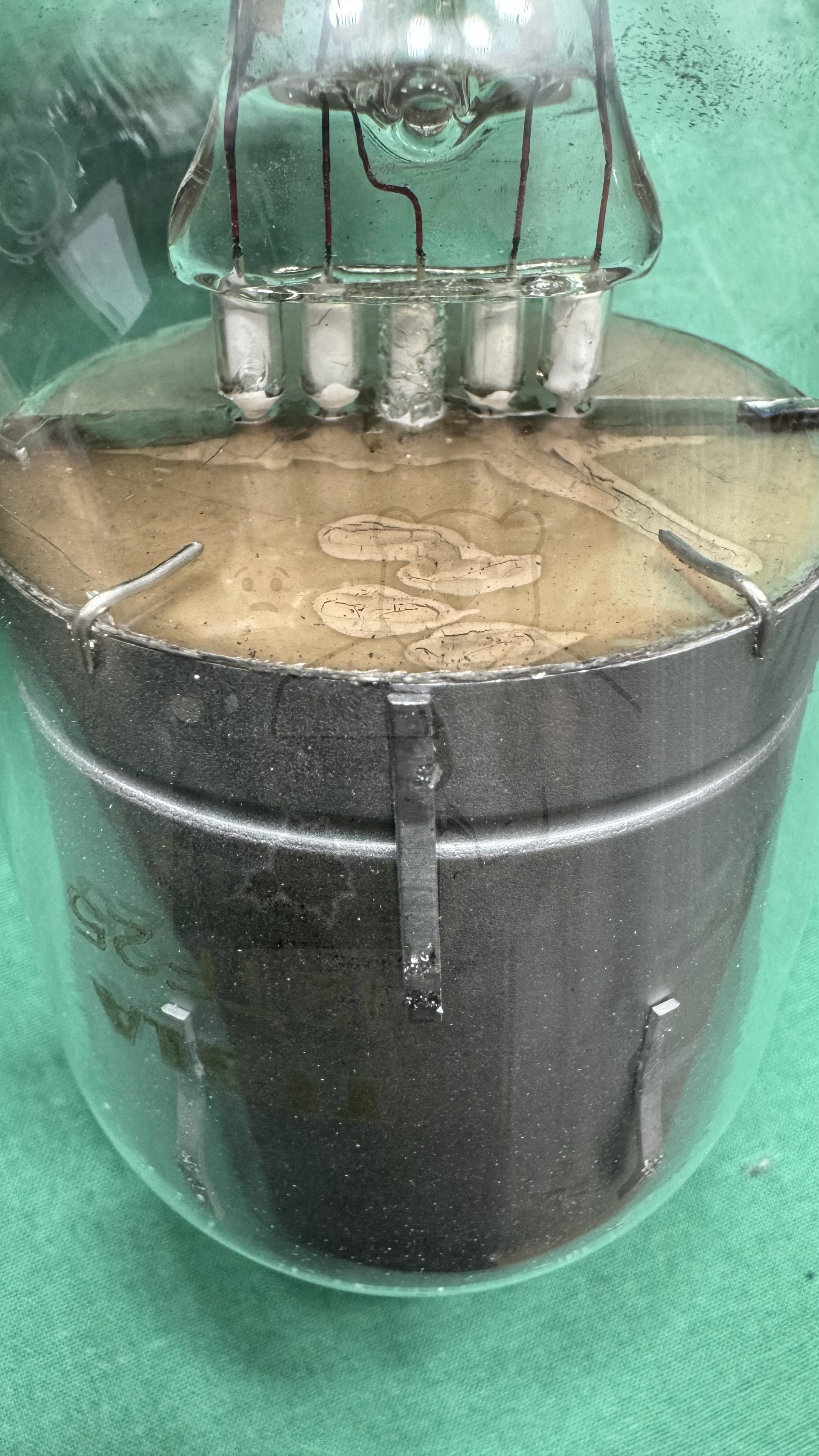 Röhre 12TF25 #4566 Bild 6