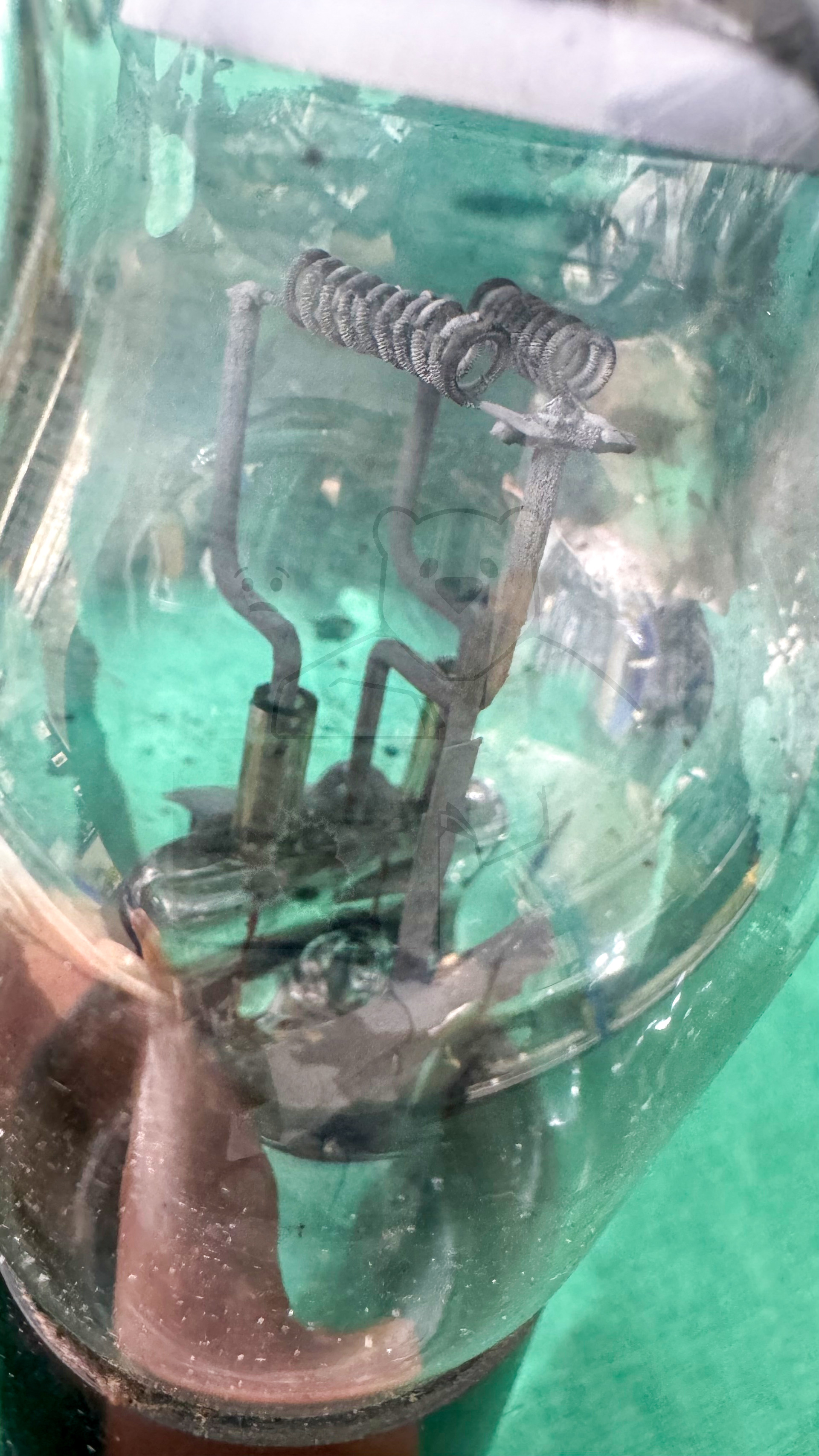 Röhre 2XM100 #6597 Bild 10