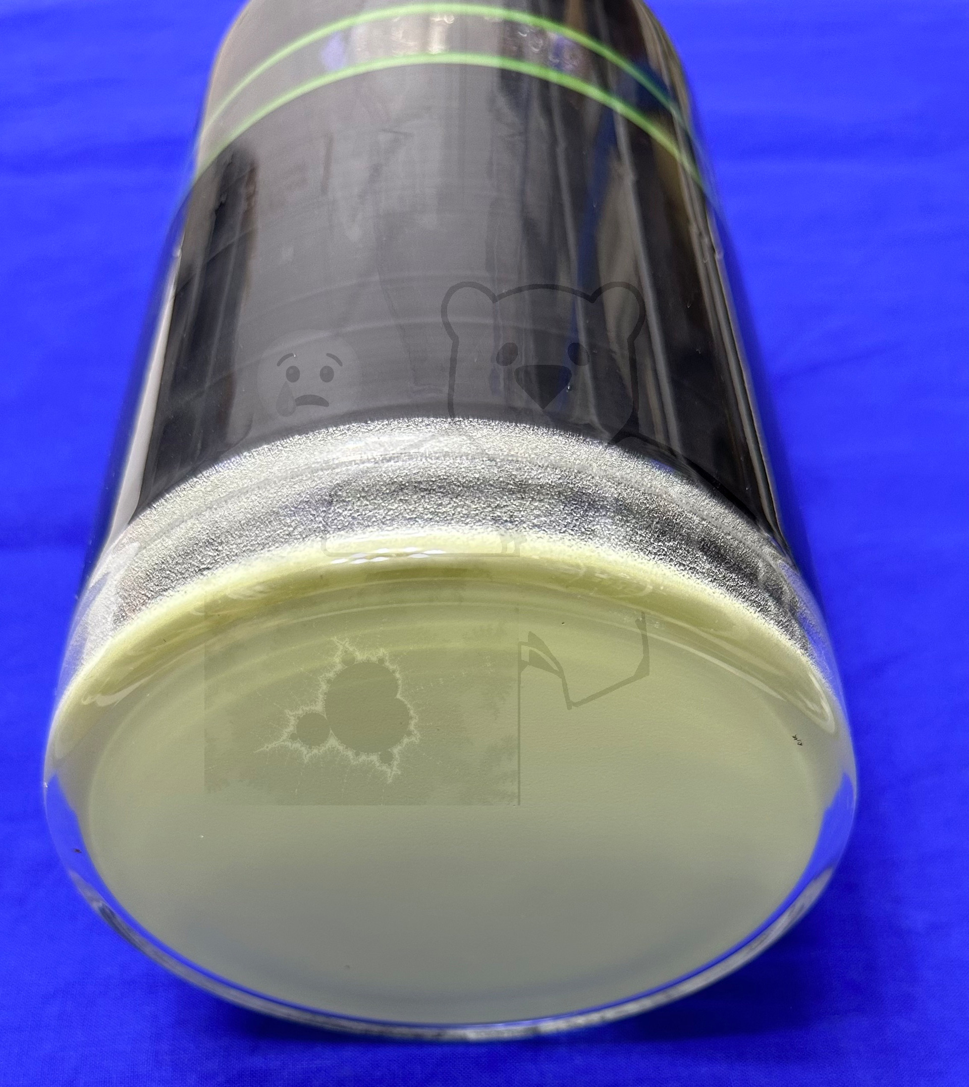 Röhre 5SP7 #8028 Bild 41