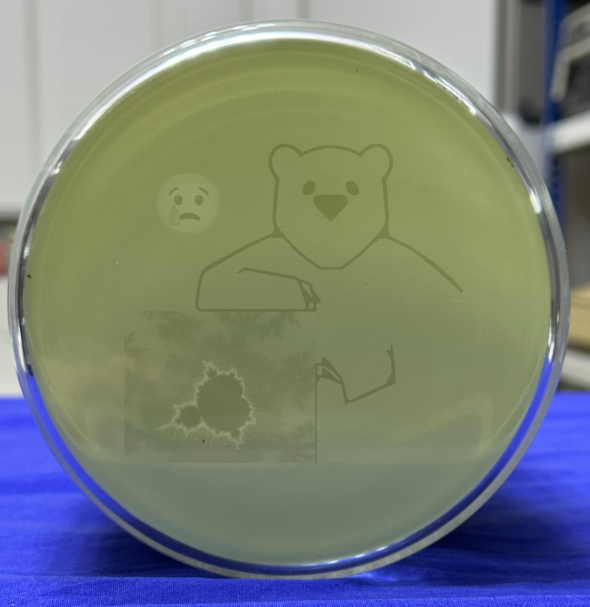 Röhre 5SP7 #8028 Bild 42