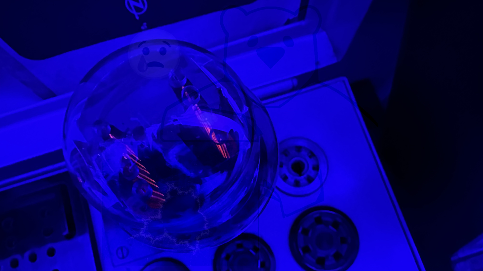 Röhre 5Ц3С #6581 In Betrieb Bild 1