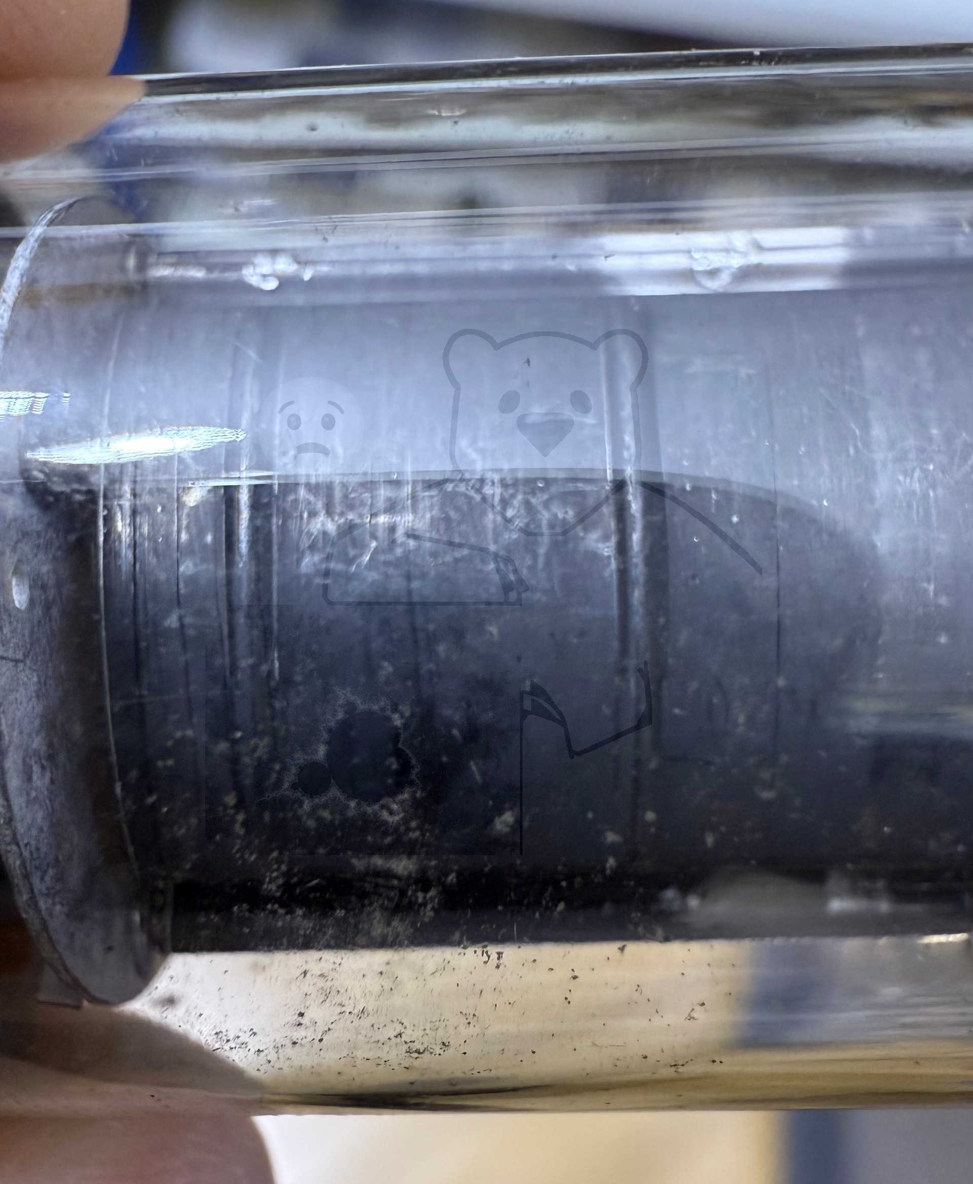 Röhre 7C5 #4844 Bild 4