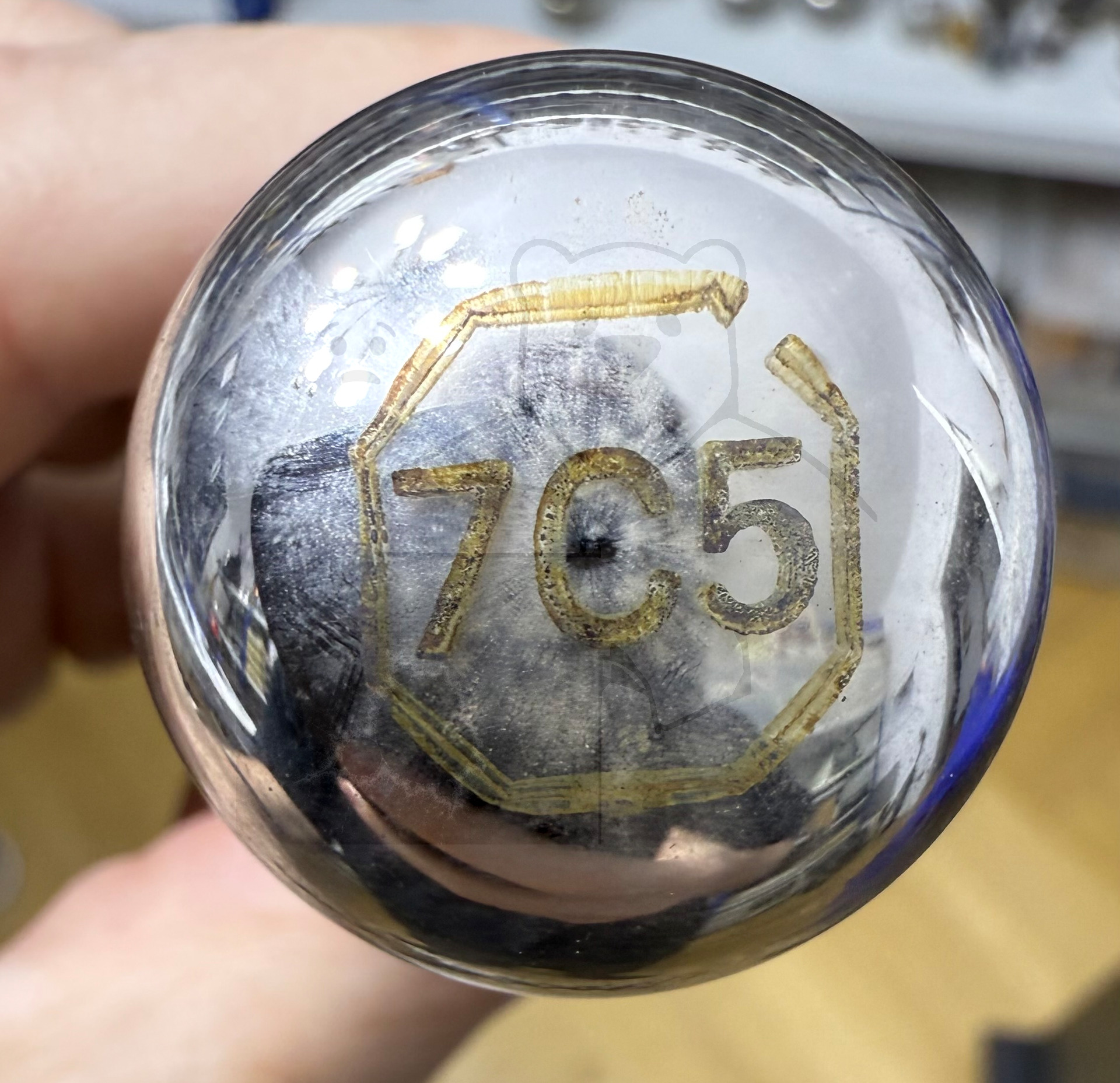 Röhre 7C5 #4855 Bild 3