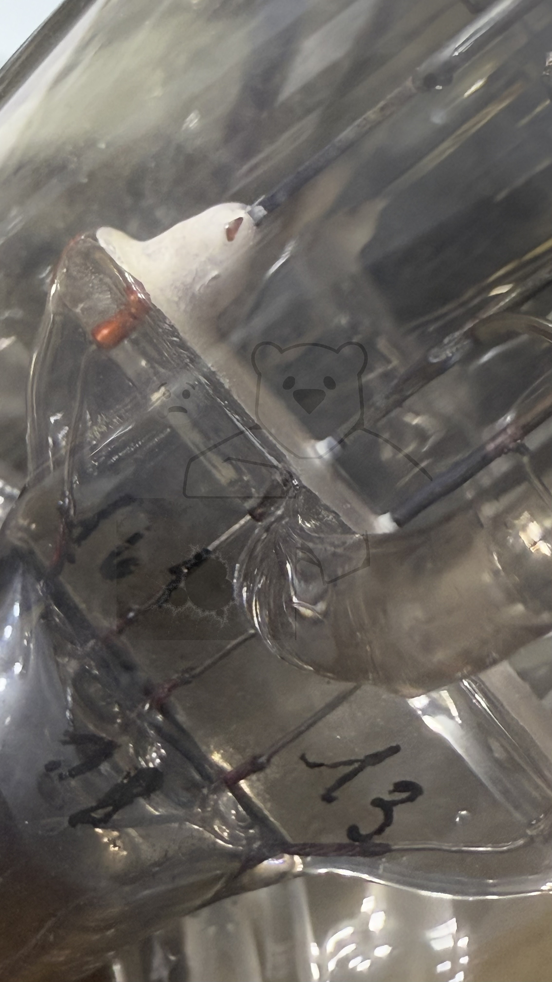 Röhre Ca #6418 Bild 18