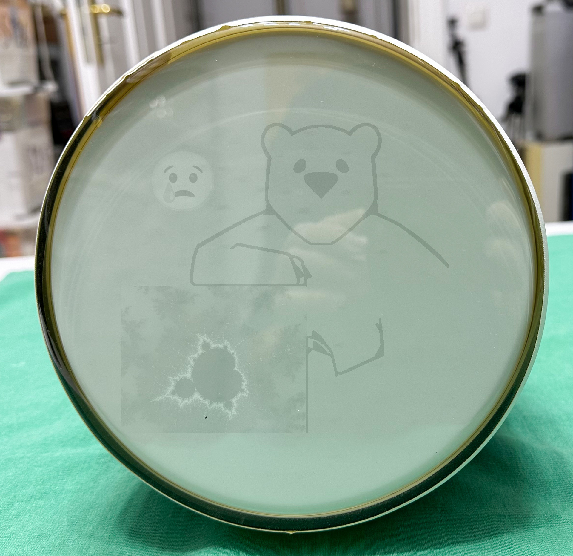 Röhre D18-141GH #4589 Bild 10