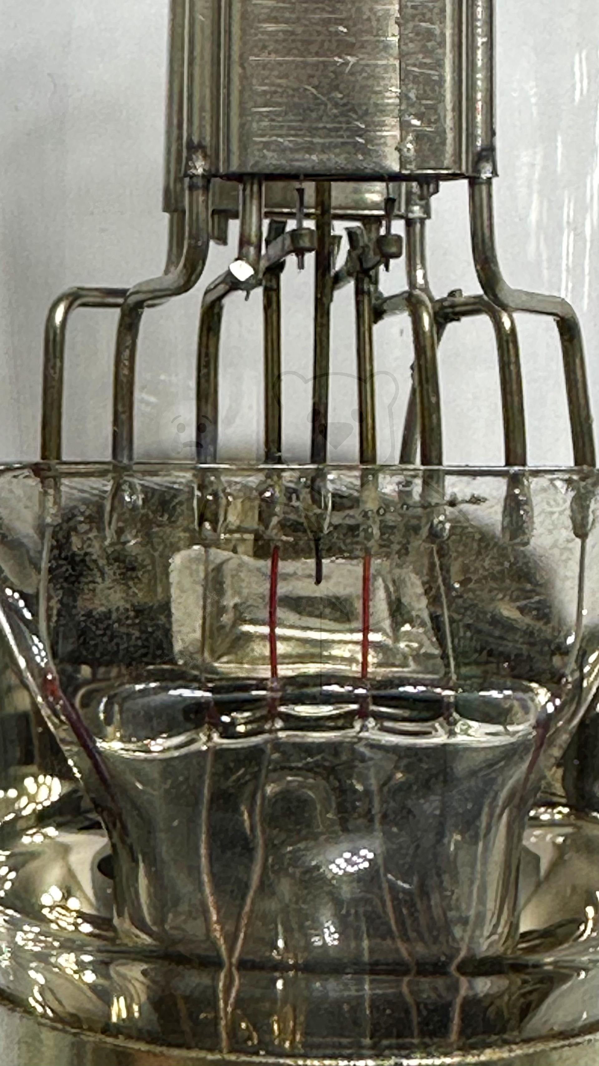 Röhre D431 (TeKaDe) #8475 Bild 3