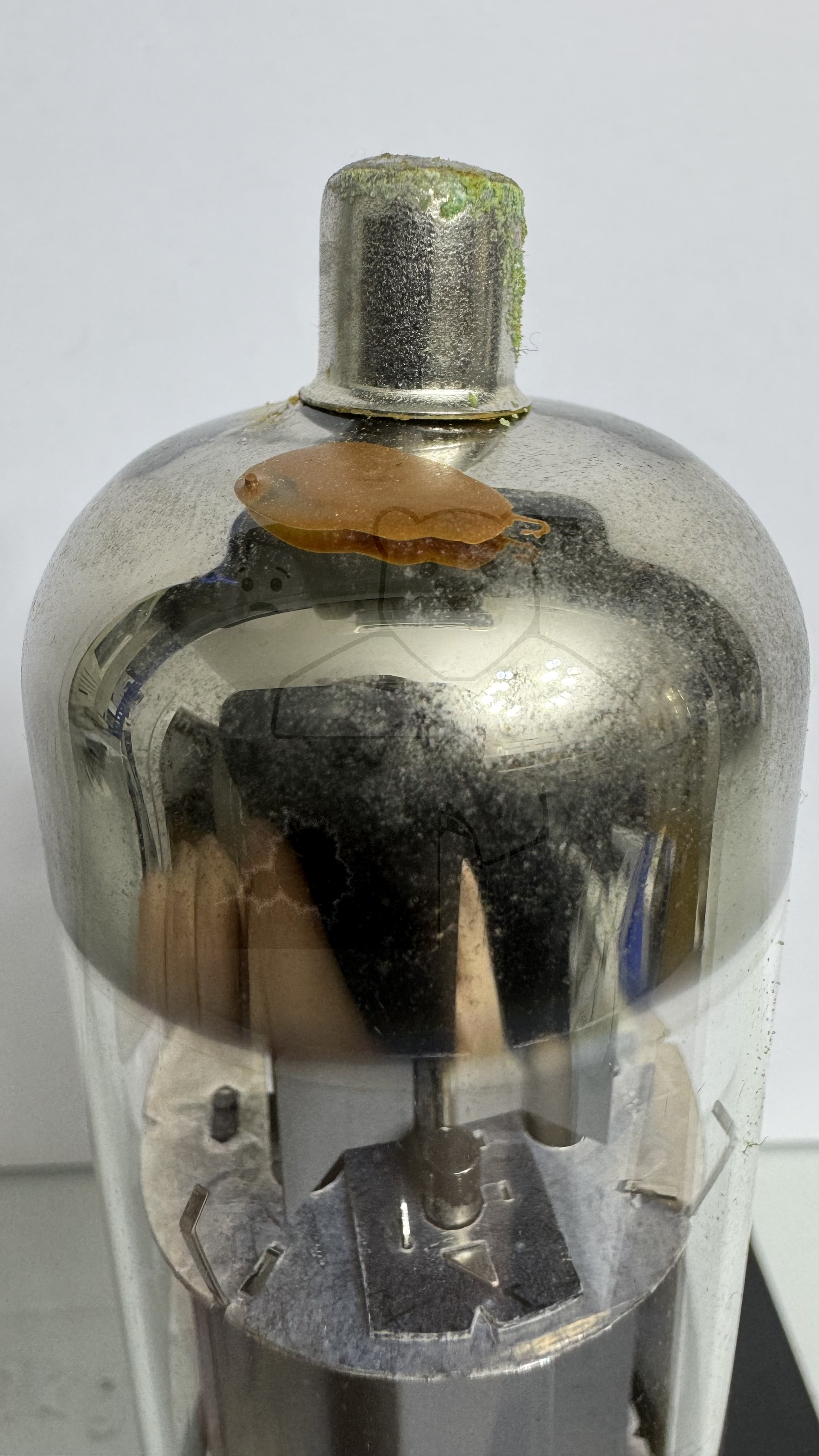 Röhre E130L #4404 Bild 6