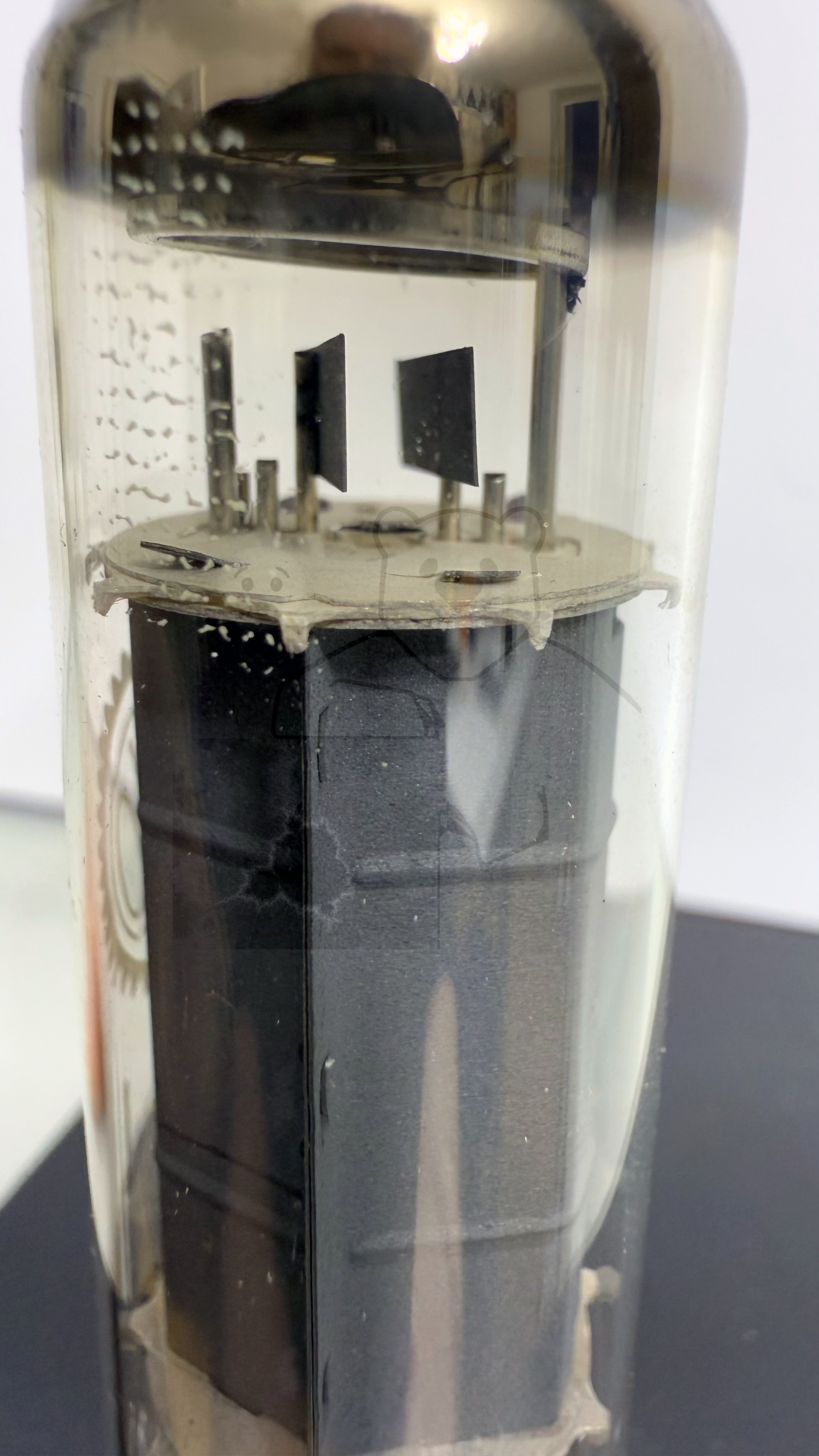 Röhre E84L #7893 Bild 5