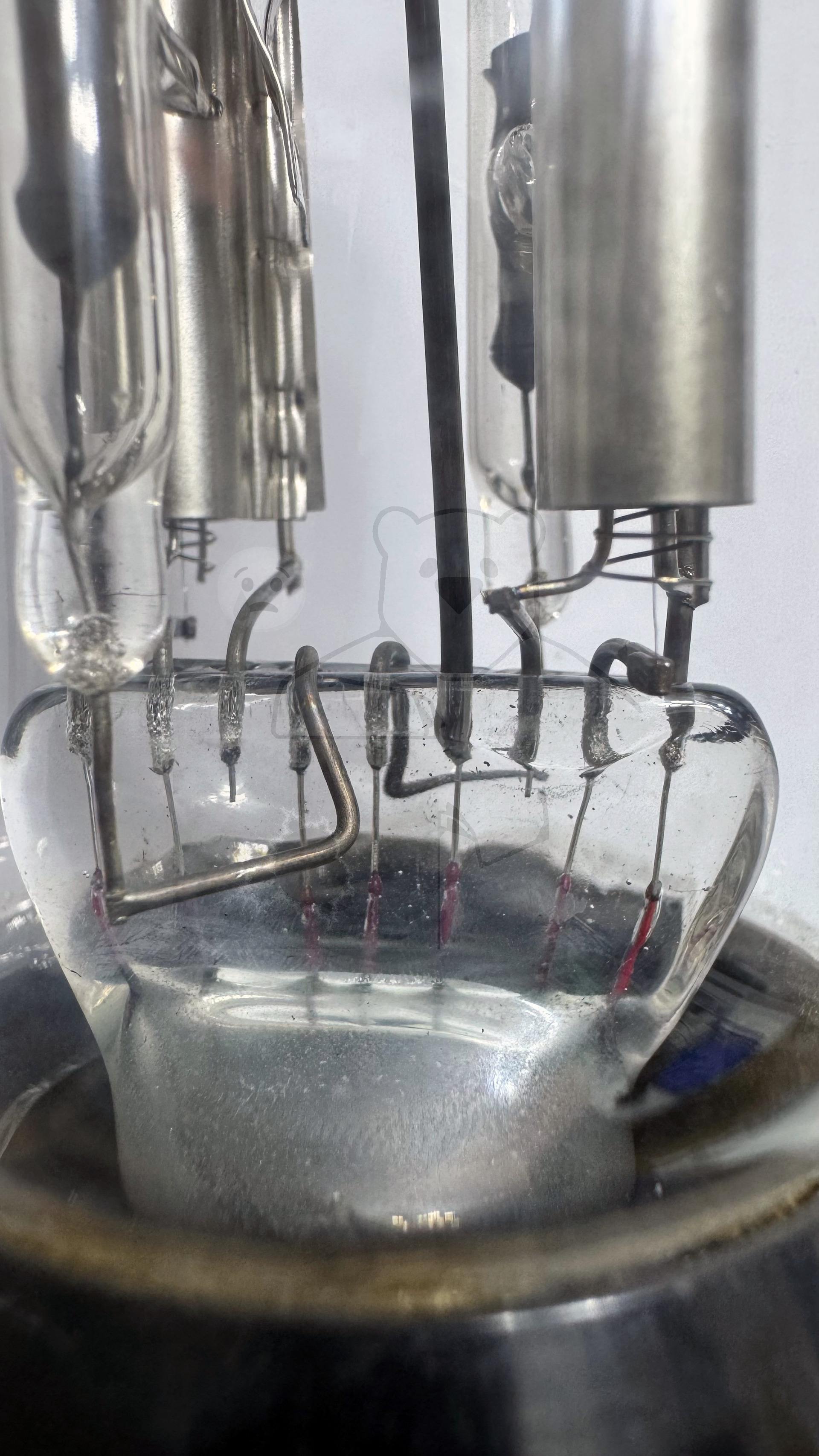 Röhre HF29 #6945 Bild 10