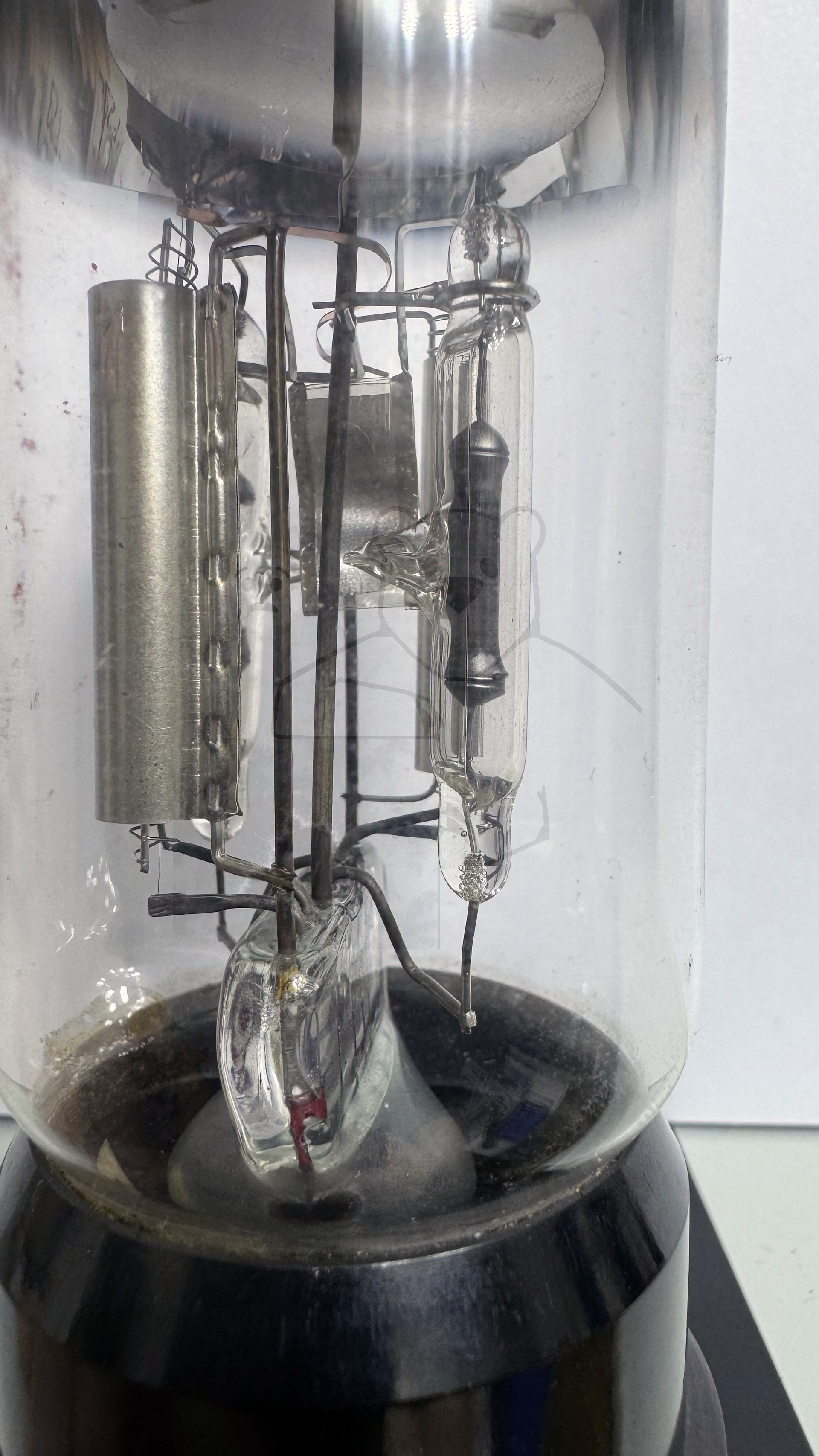 Röhre HF29 #6945 Bild 6