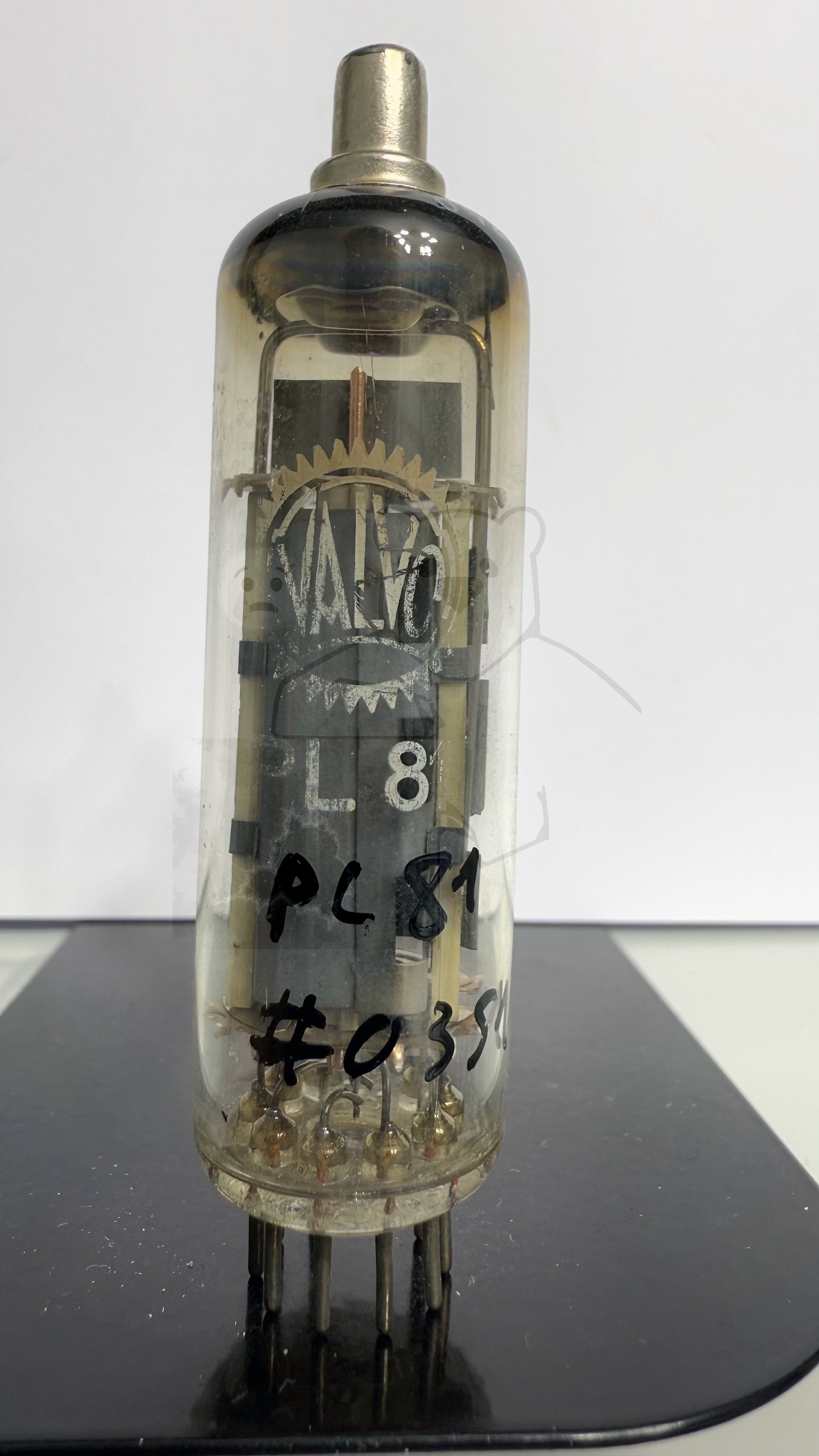 Röhre PL81 #0351 Bild 1