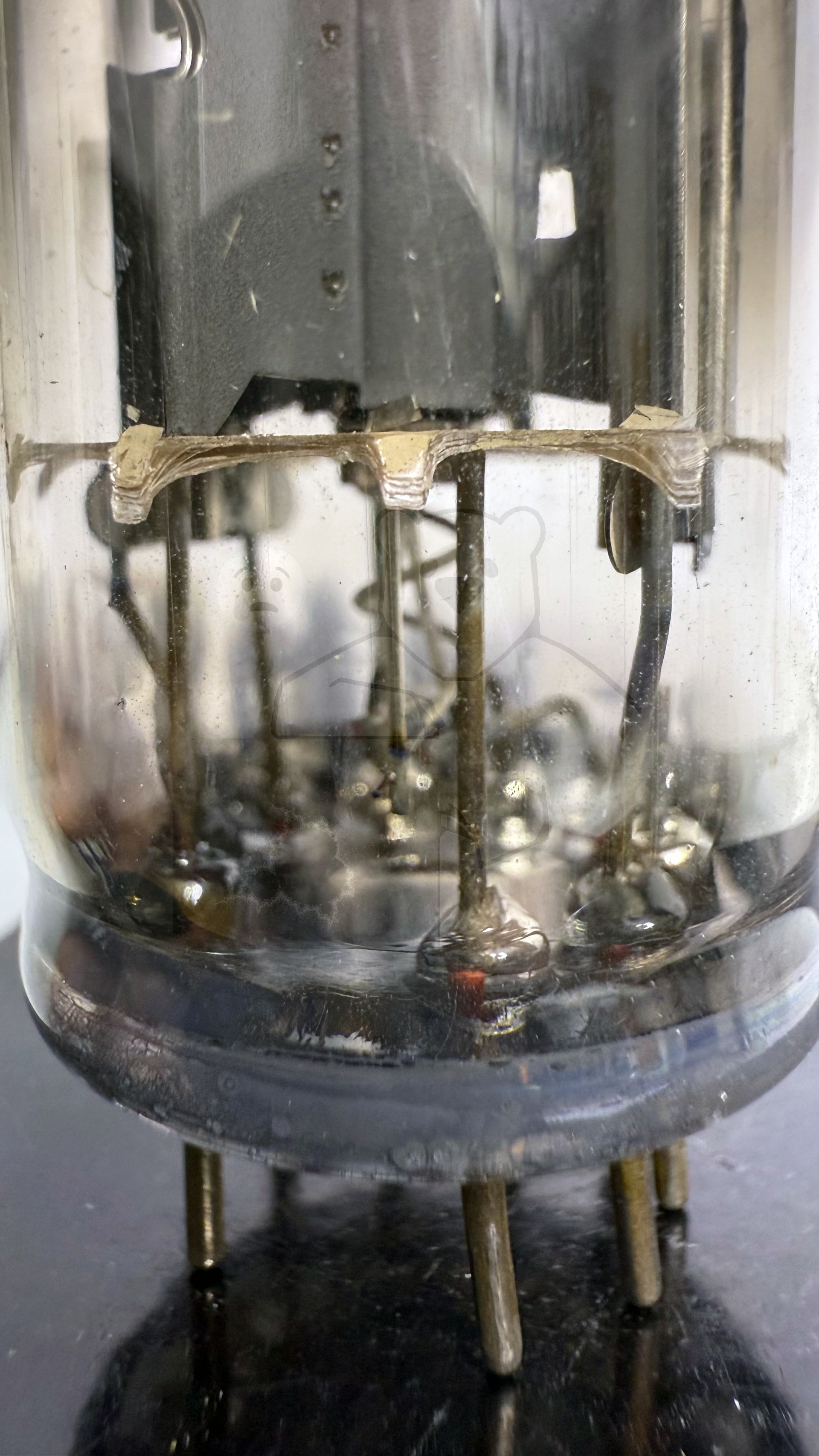 Röhre PY500A #3038 Bild 4