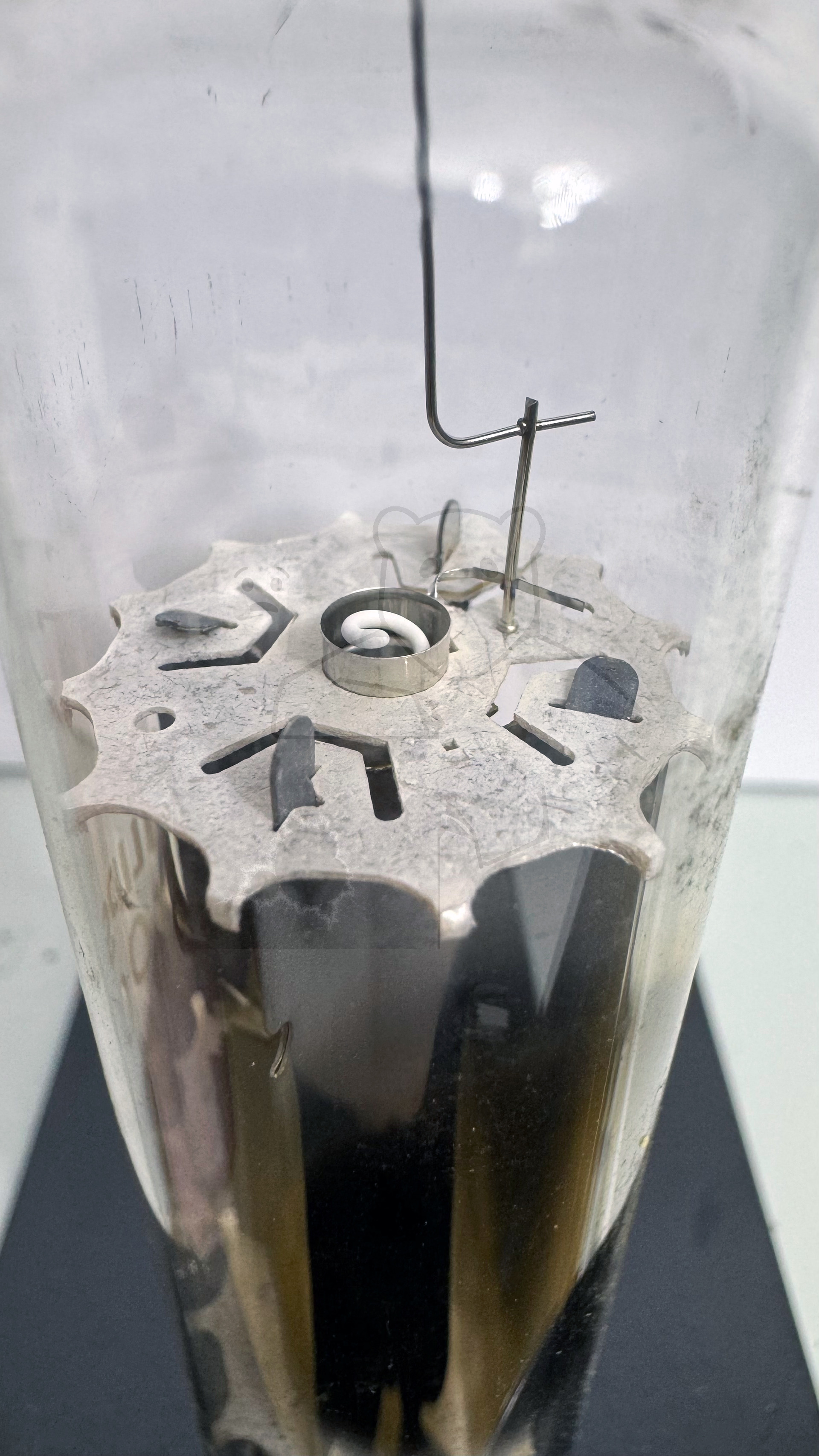 Röhre PY500A #4497 Bild 3