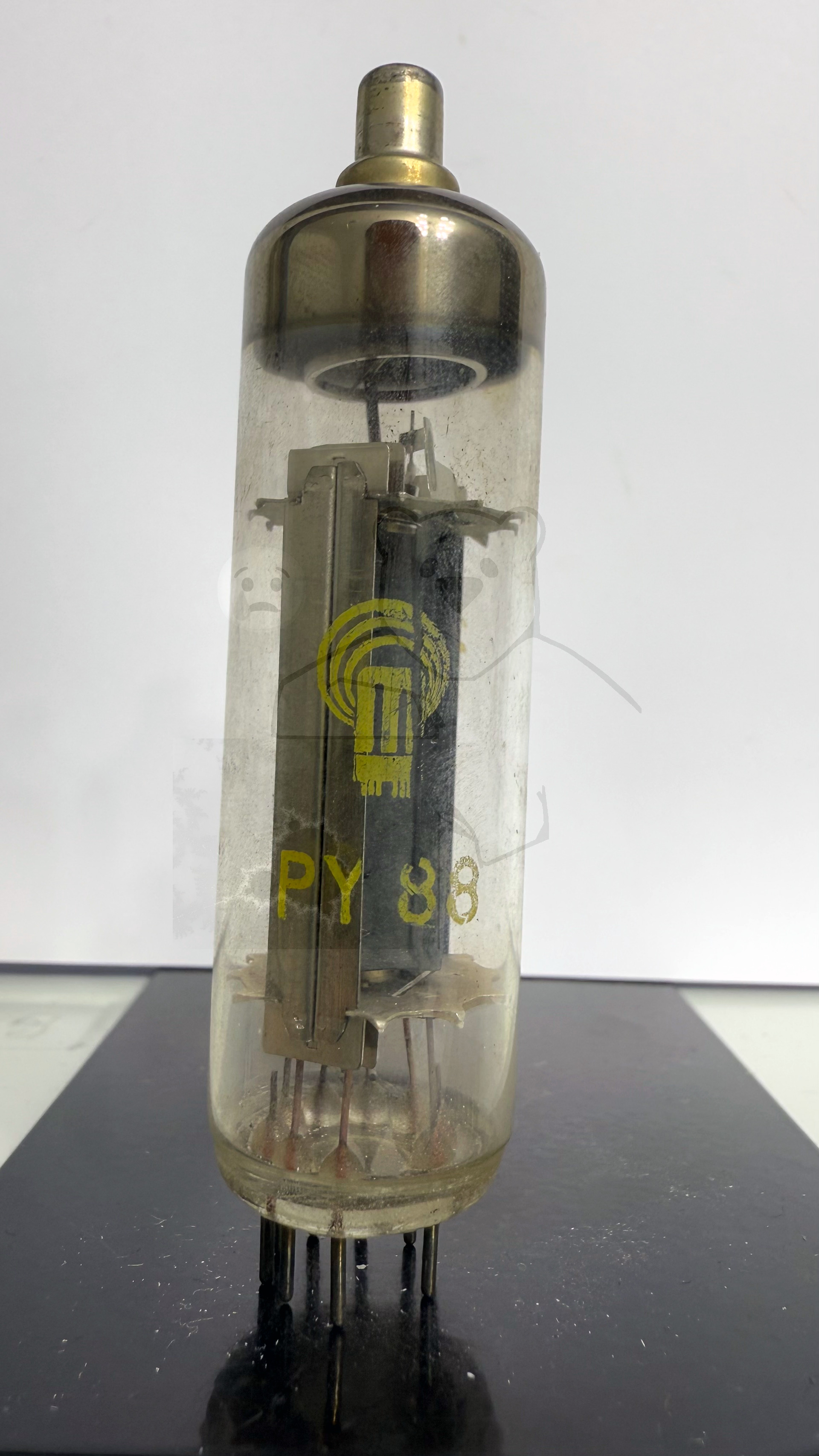 Röhre PY88 #4906 Bild 1