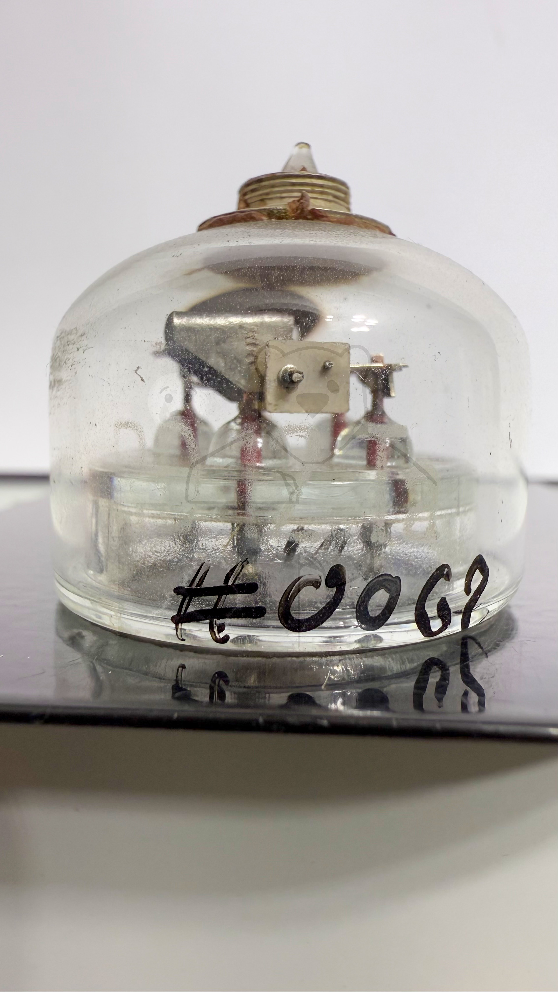 Röhre RD12Ta #0062 Bild 2