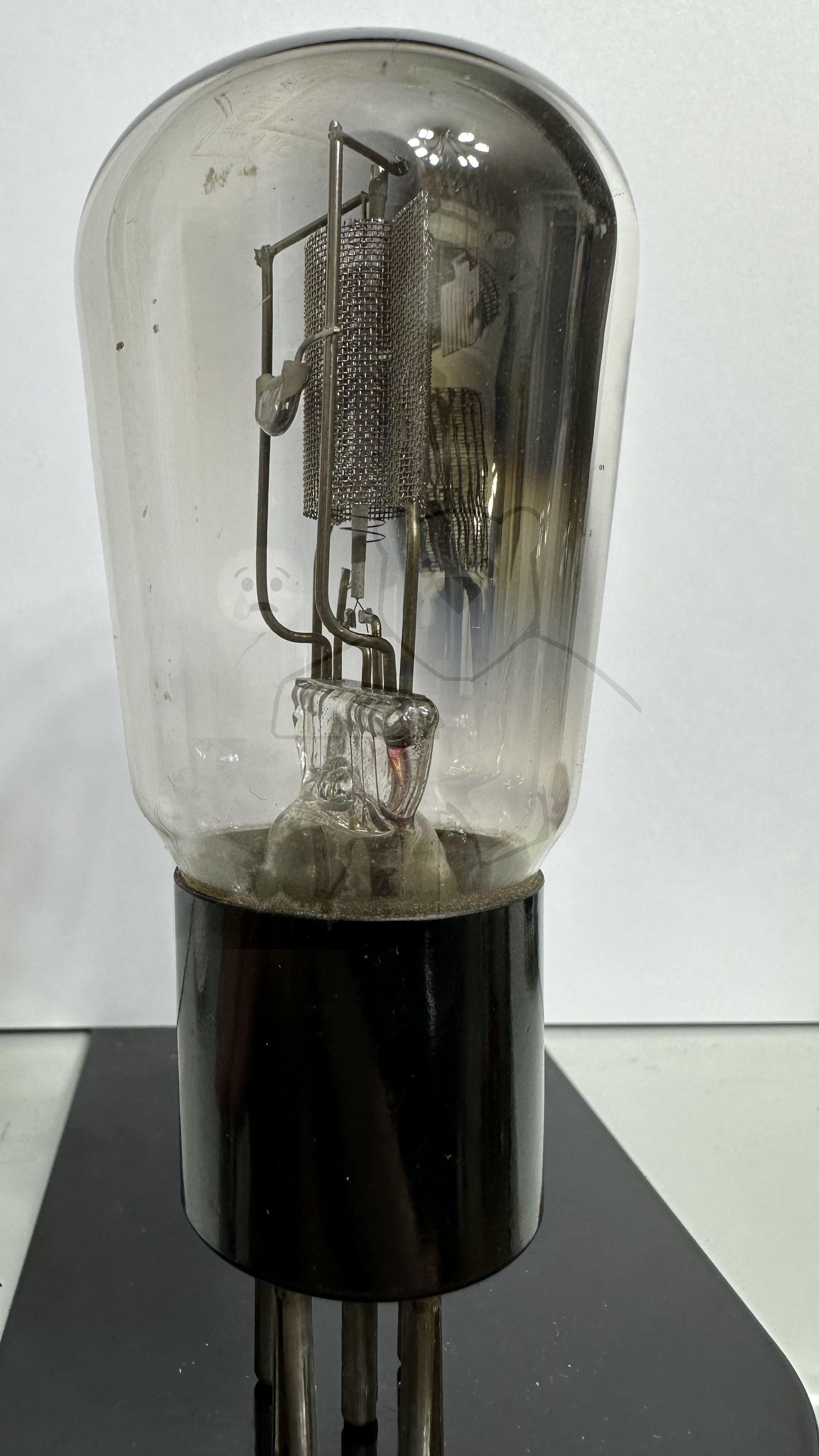 Röhre REN1104 #3636 Bild 2