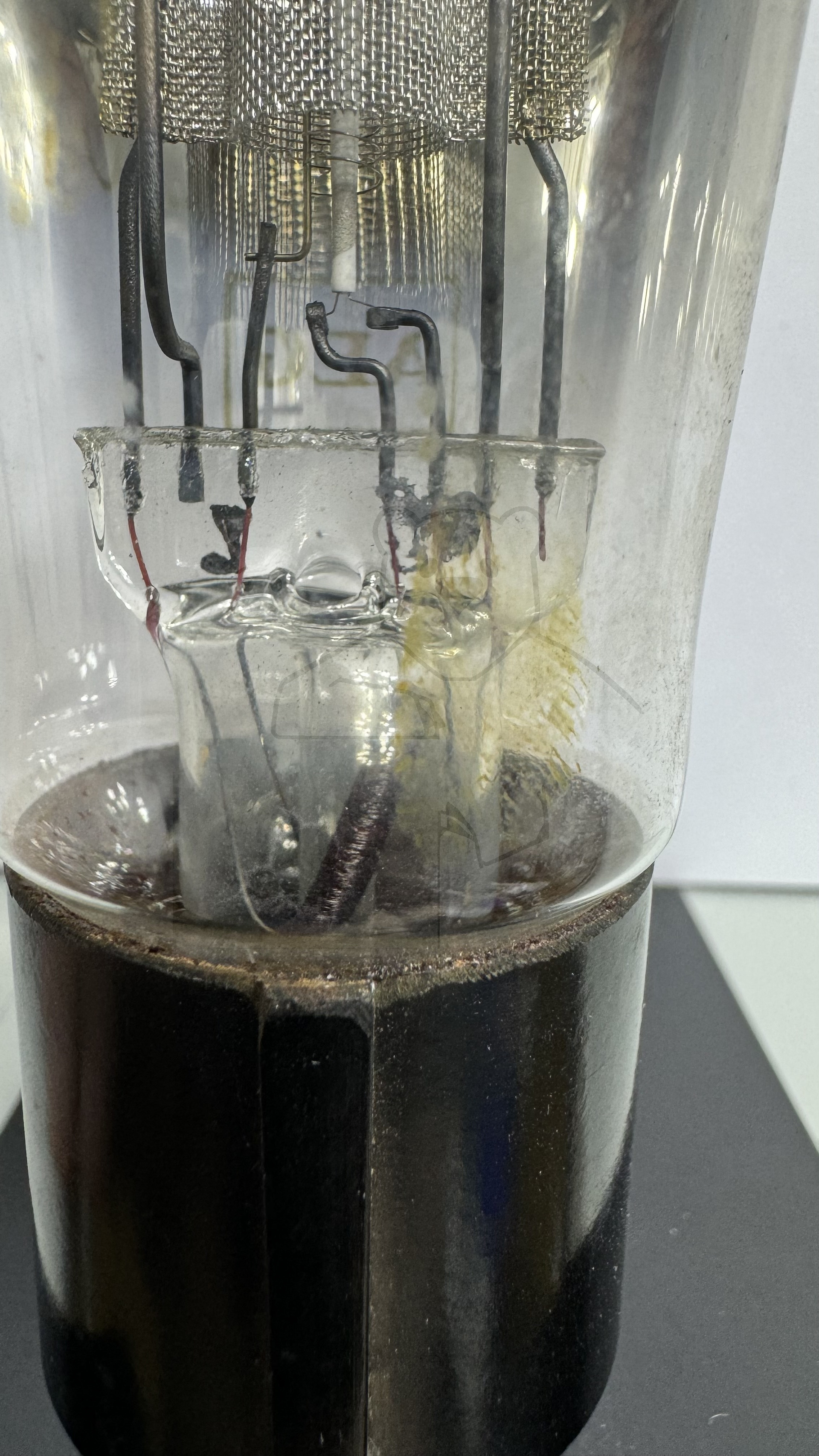 Röhre REN1EW #8422 Bild 4