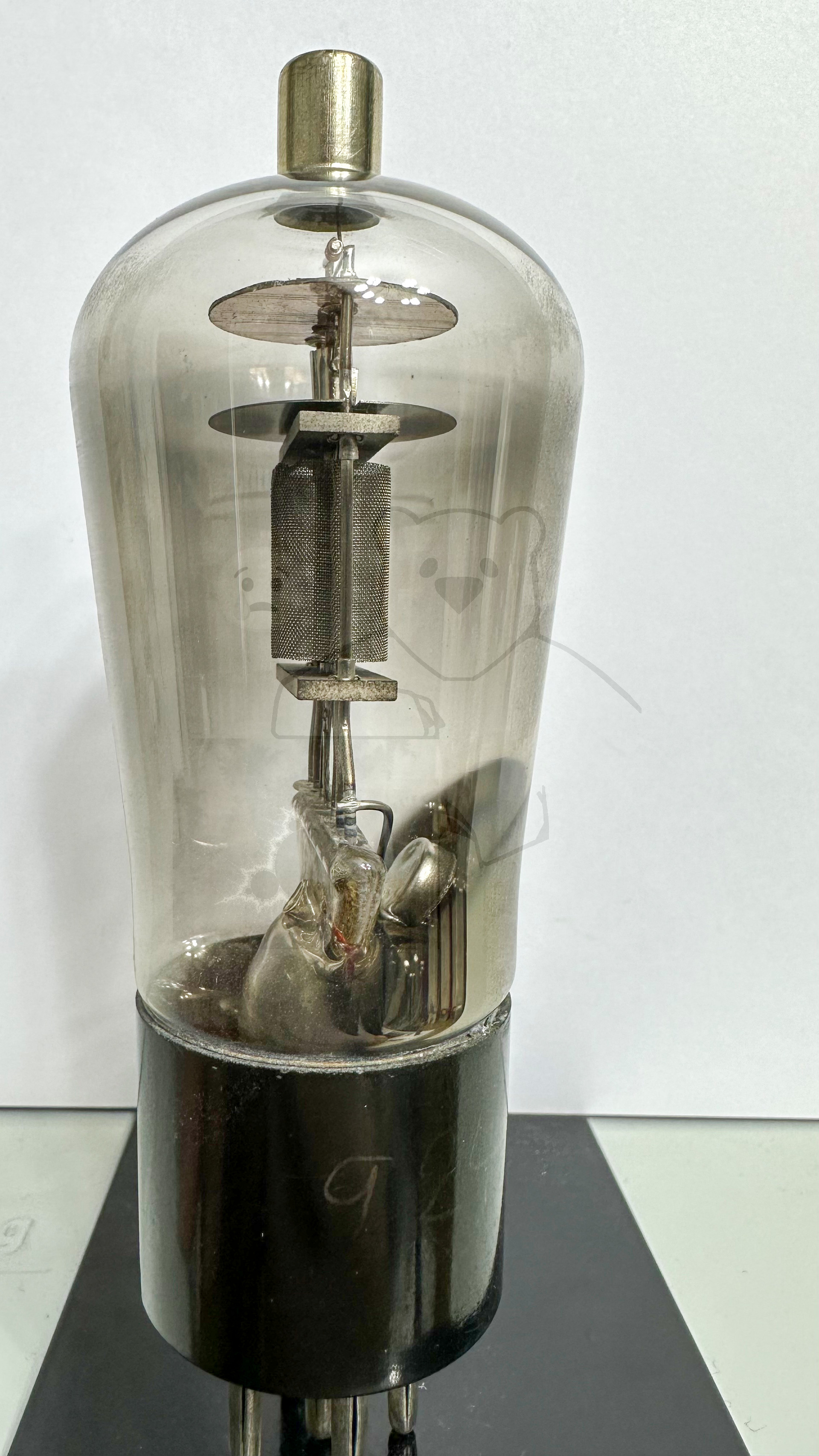 Röhre REN924 #3761 Bild 2