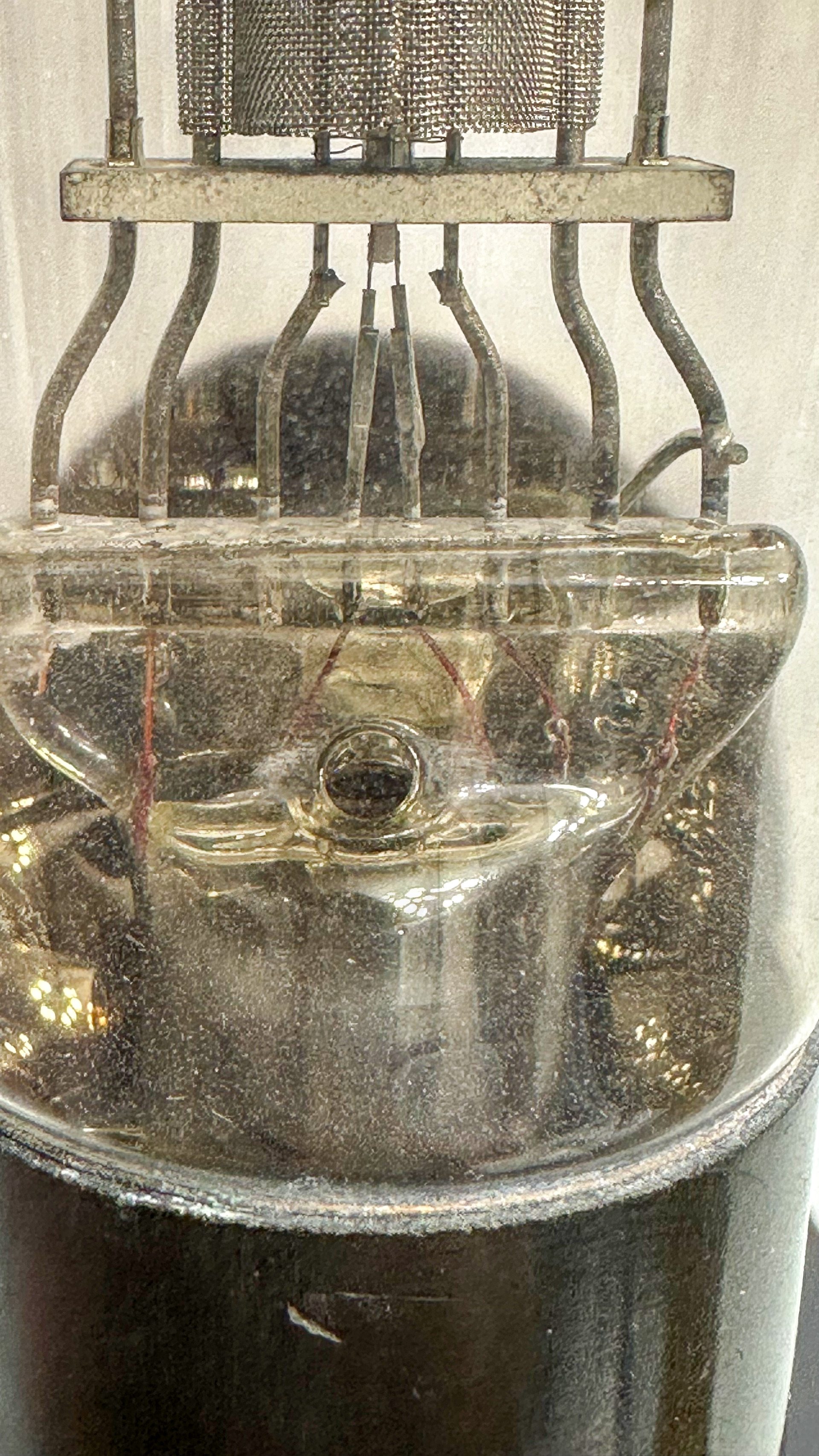 Röhre REN924 #3761 Bild 5