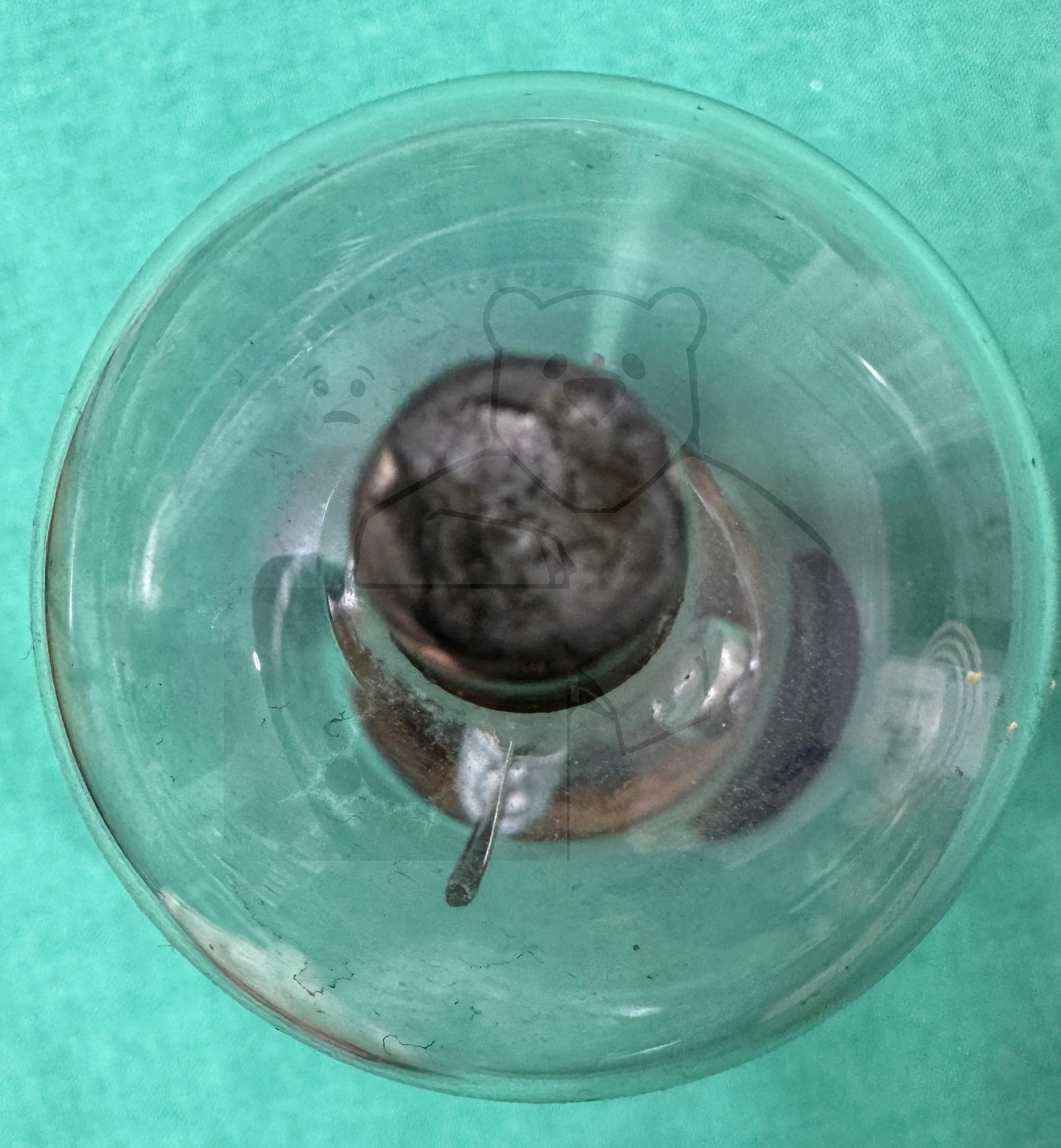 Röhre RFG5 #0032 Bild 16