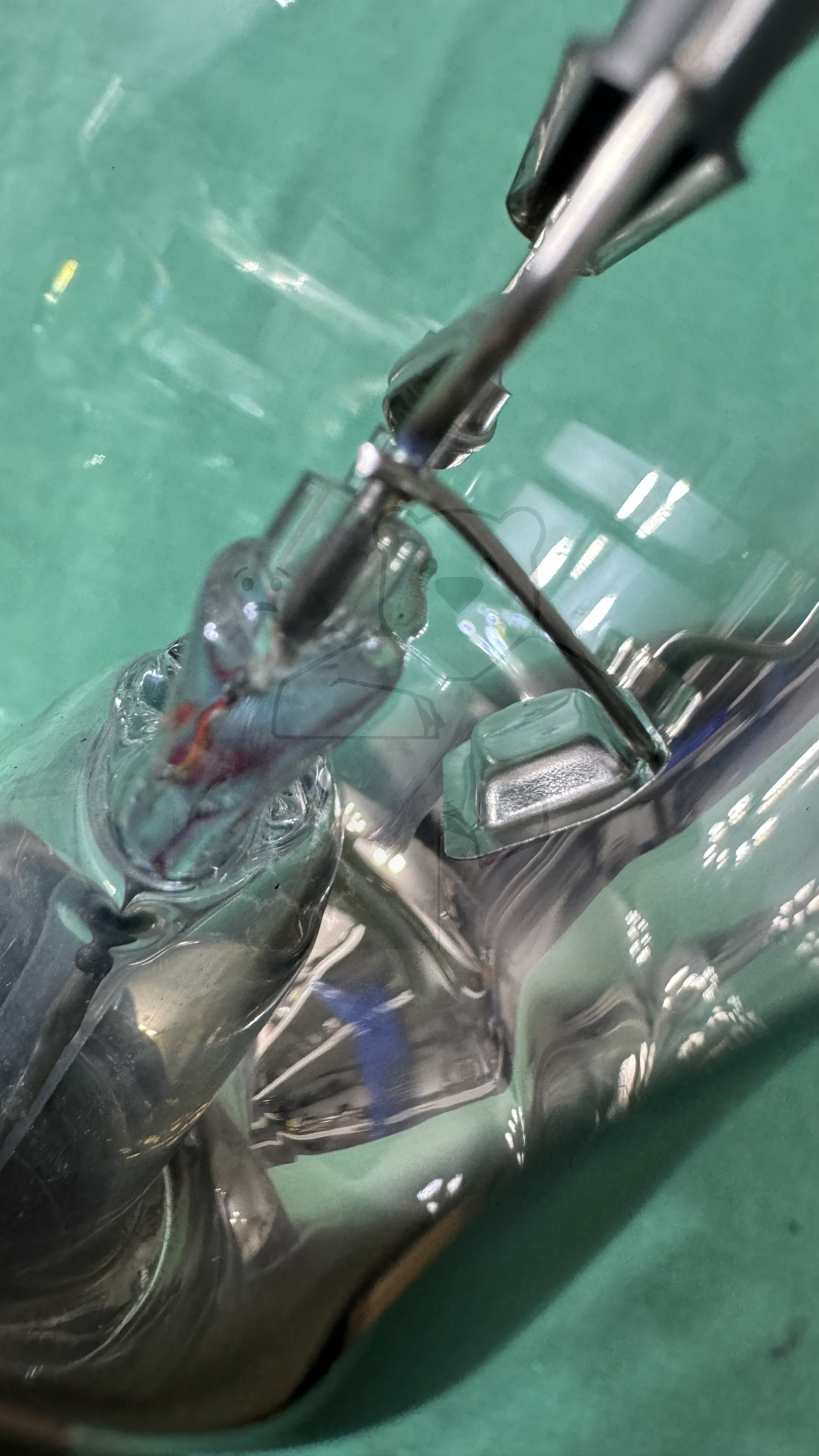 Röhre RG62 #7268 Bild 22