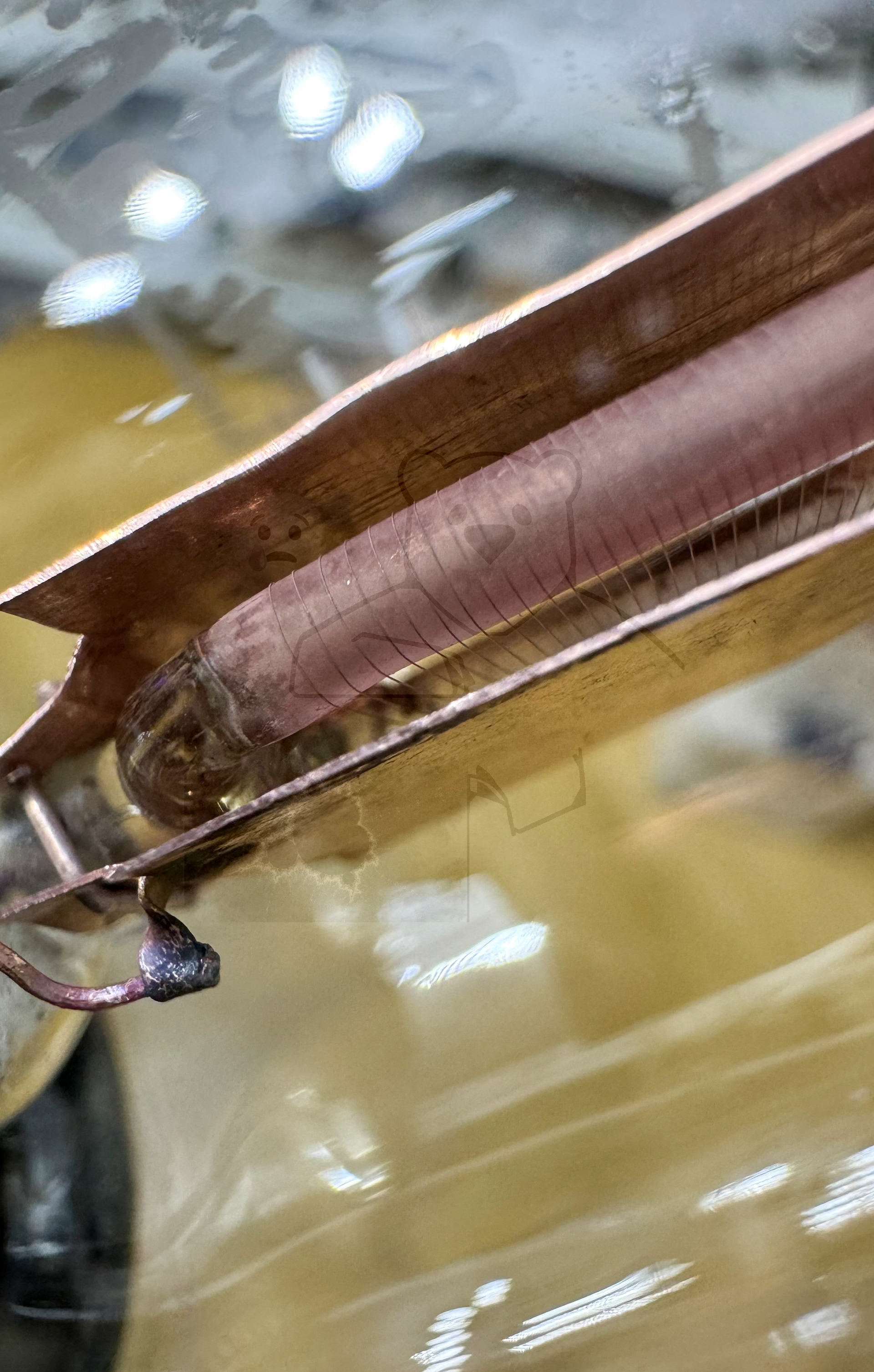 Röhre Seddig 50191 #7562 Bild 16