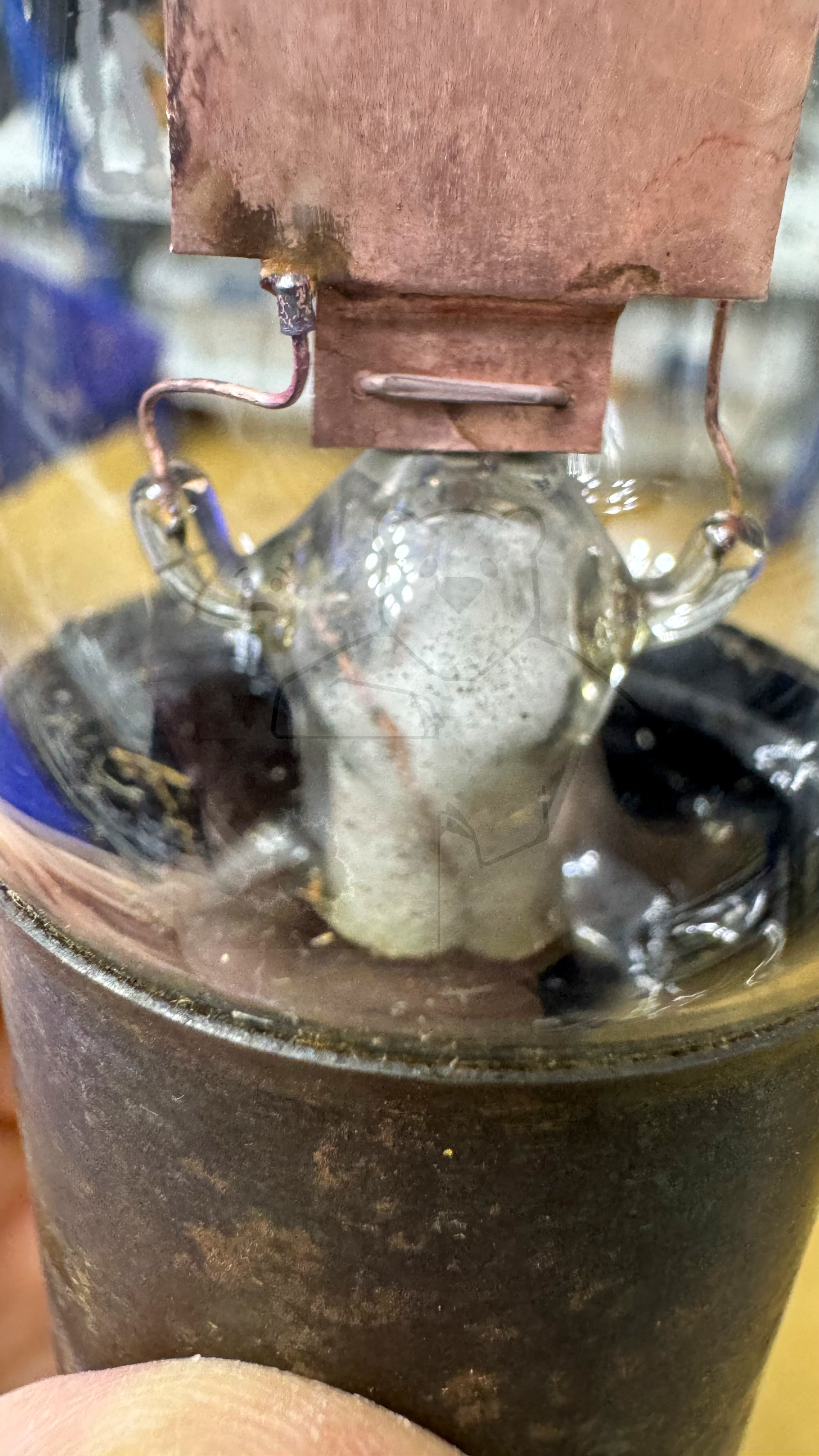 Röhre Seddig 50191 #7562 Bild 19