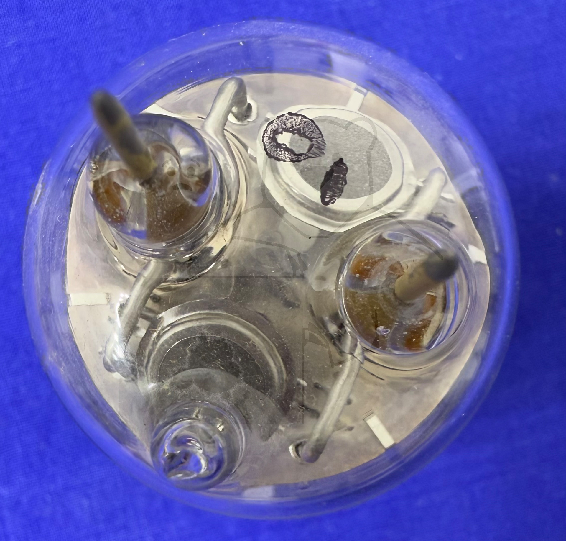 Röhre ГМИ-6 GMI-6 #3308 Bild 8