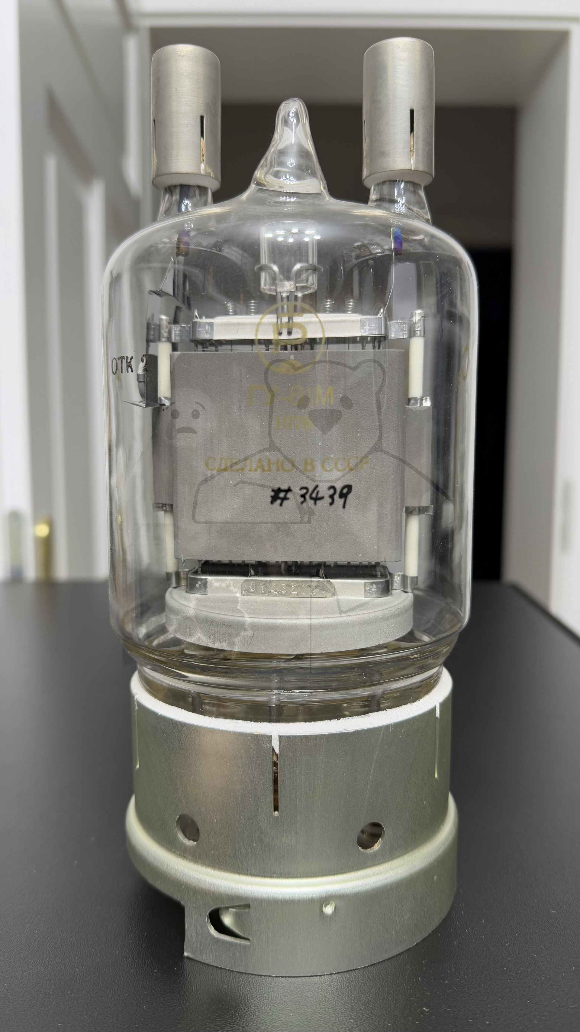 Röhre ГУ-81М #3439 GU-81M Bild 1