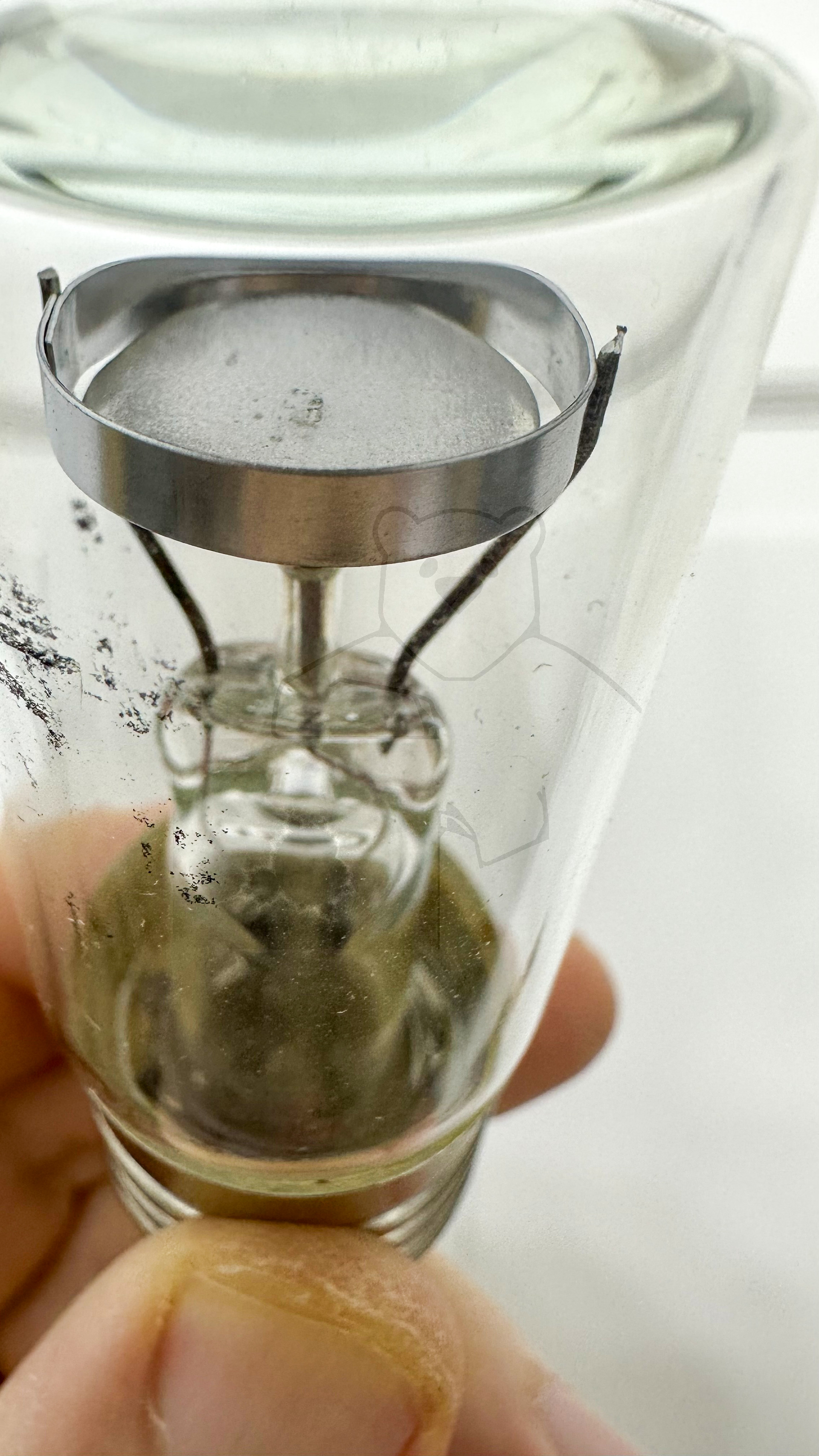 Glimmlampe 'Signal' DGL-Pressler Bild 2