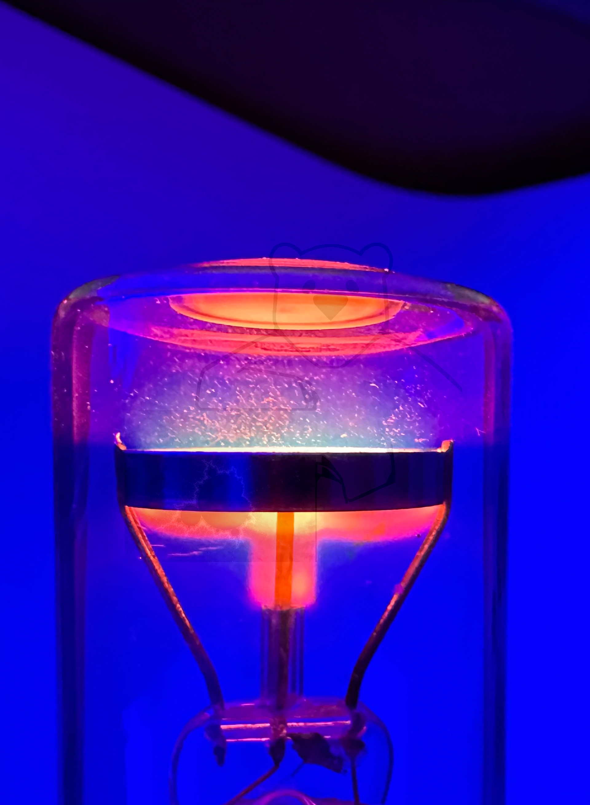 Glimmlampe 'Signal' DGL-Pressler In Betrieb Bild 3