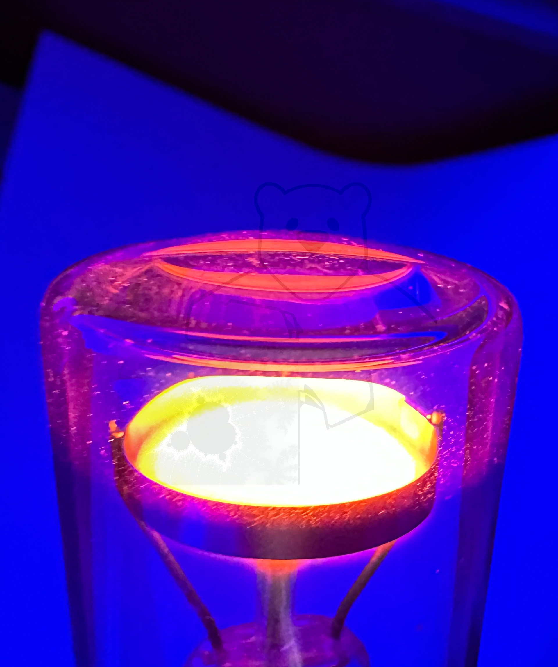 Glimmlampe 'Signal' DGL-Pressler In Betrieb Bild 4