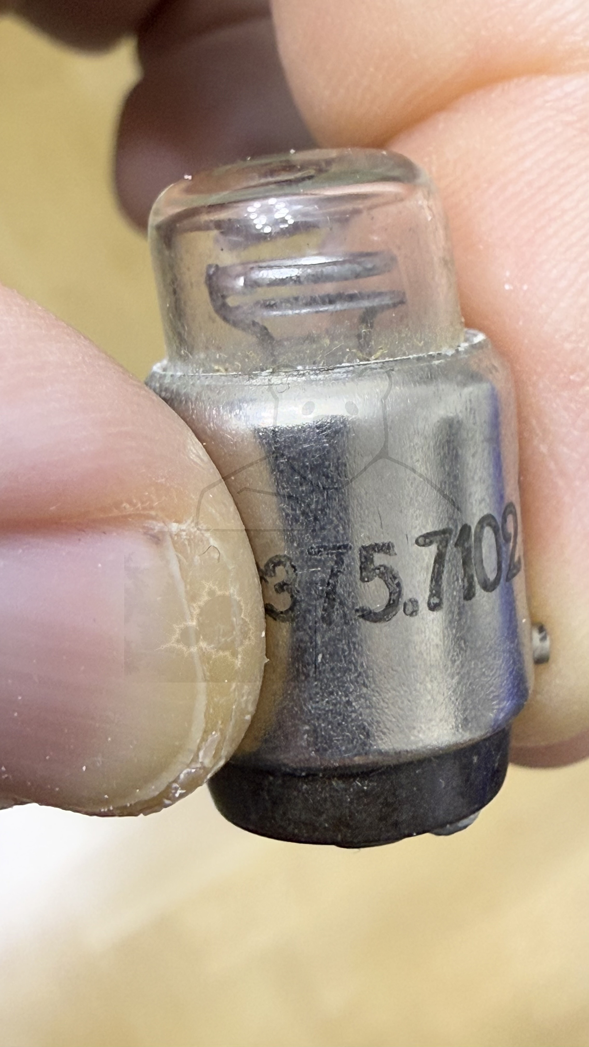 Glimmlampe Te5g23 #4565 Bild 4