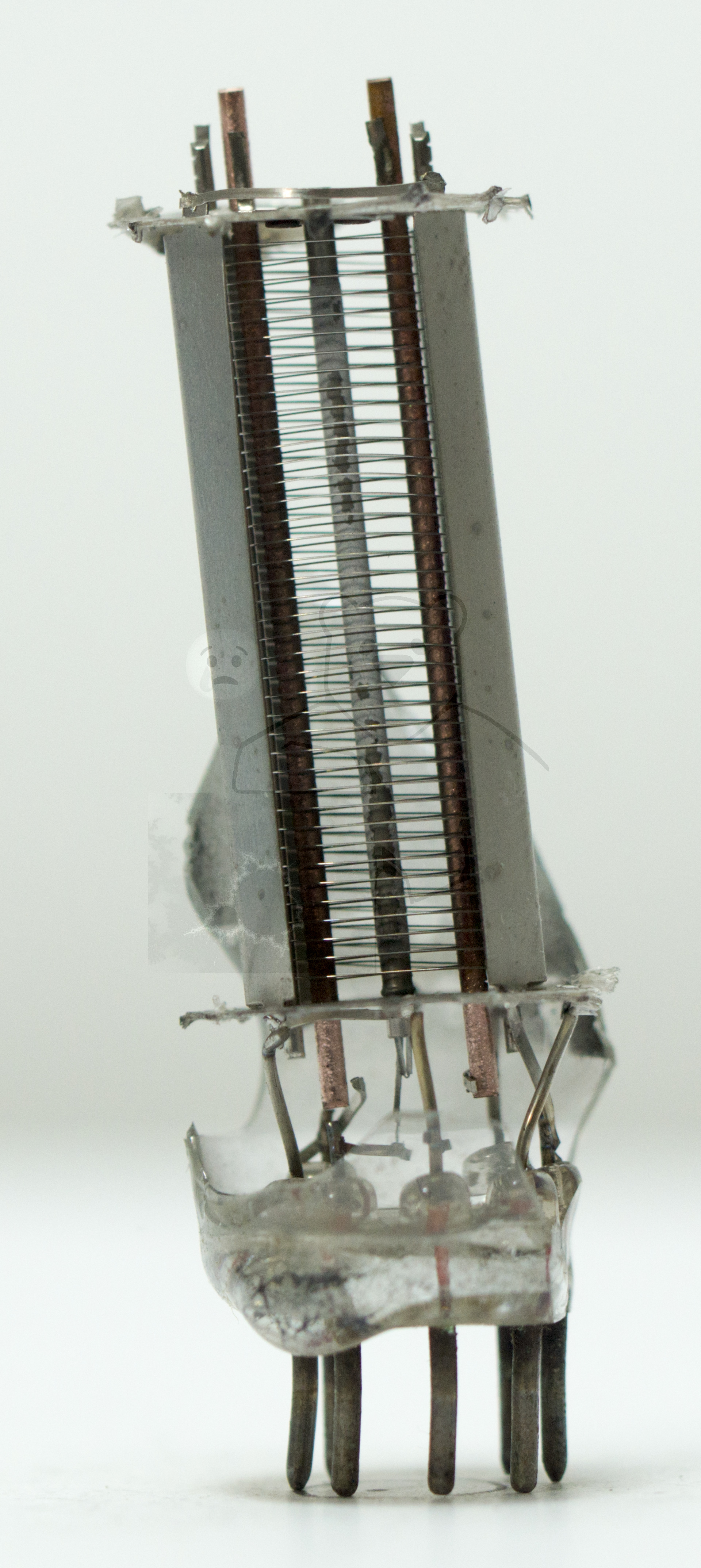 Makroaufnahme 6AQ5 Bild 1 - Kathode und Gitter, Vorderansicht