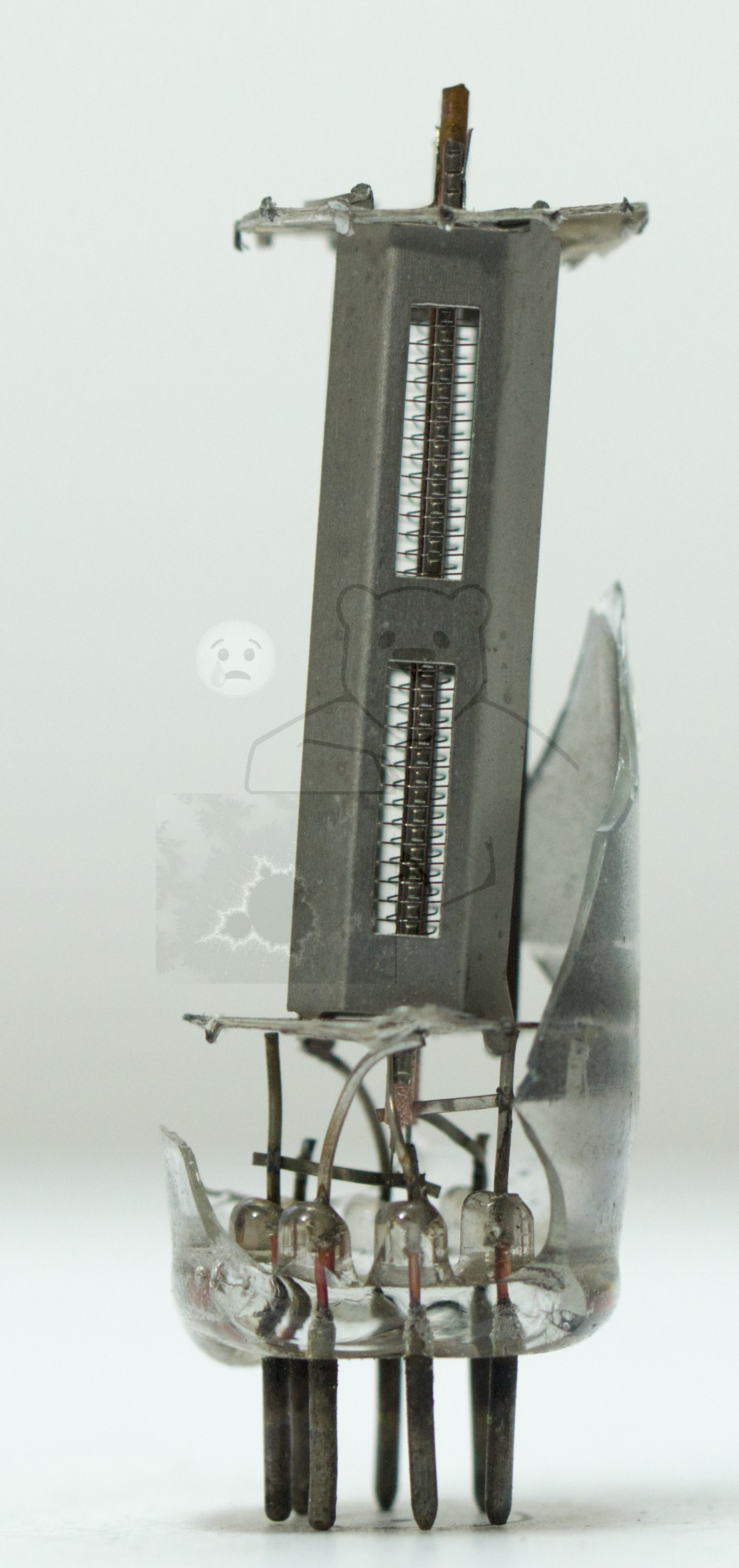 Makroaufnahme 6AQ5 Bild 2 - Kathode und Gitter, Seitenansicht