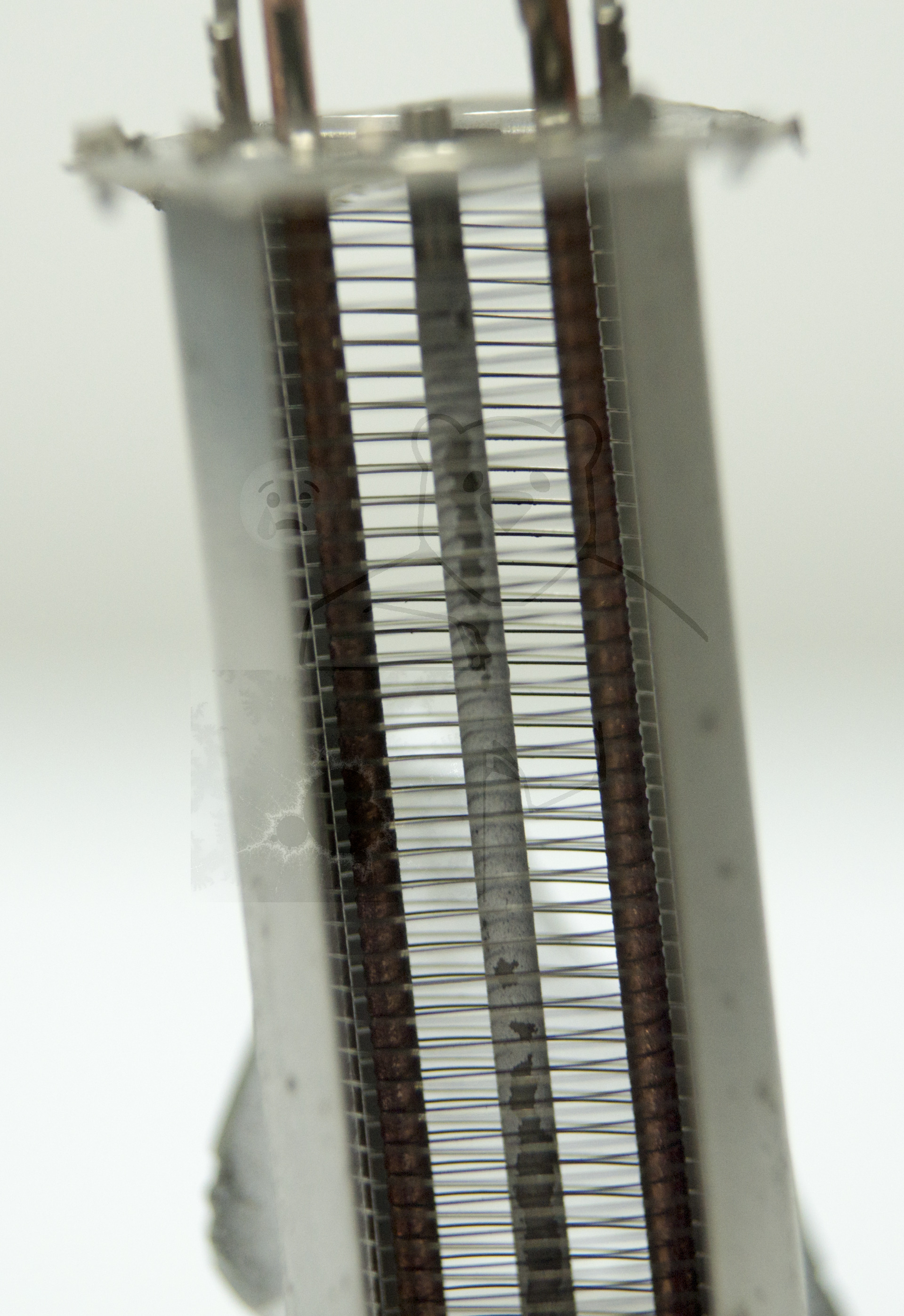 Makroaufnahme 6AQ5 Bild 3 - Gitter