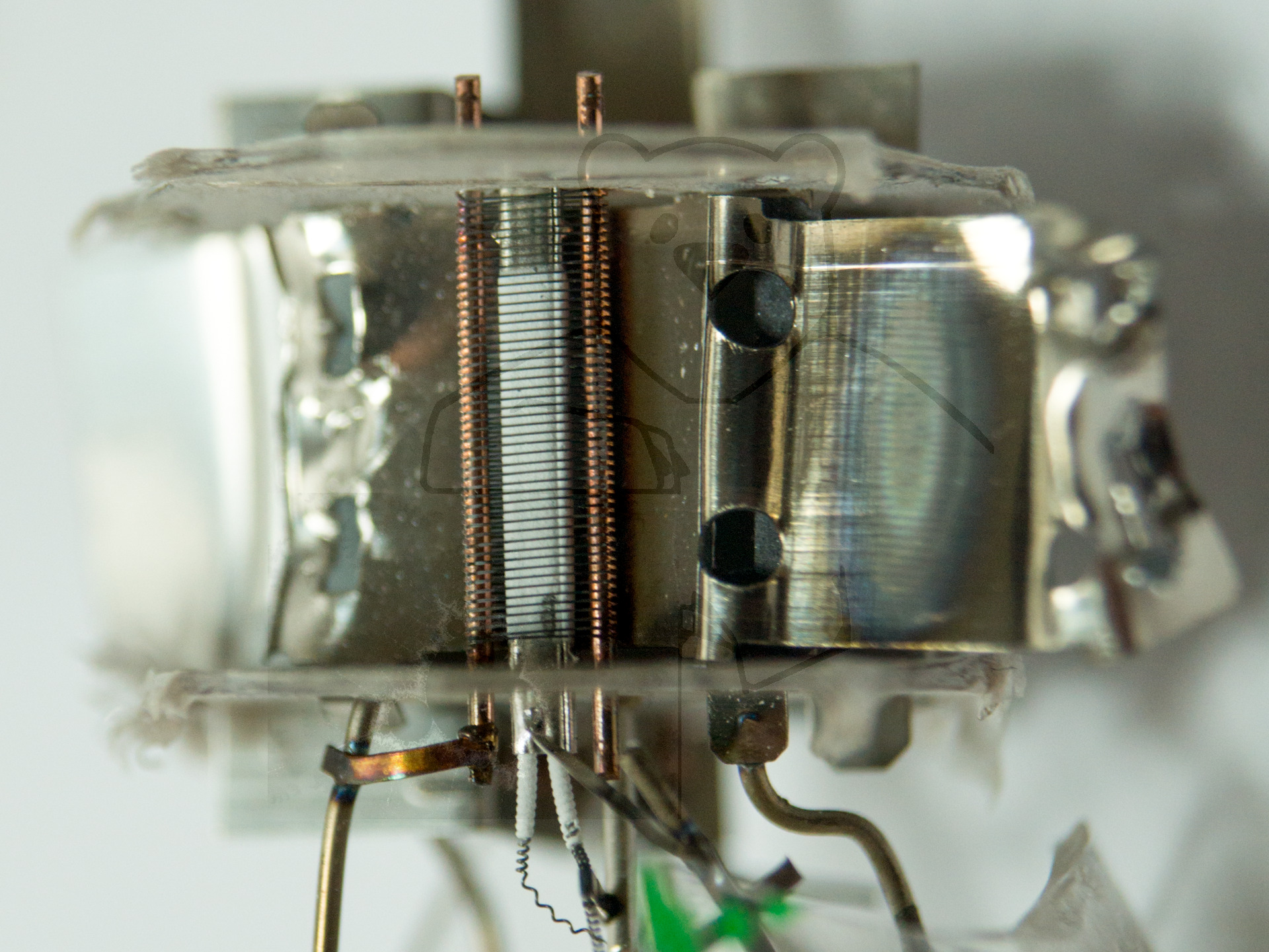 Makroaufnahme ECC84 Bild 1 - Gitter und Kathode mit aufgeklapptem Anodenblech