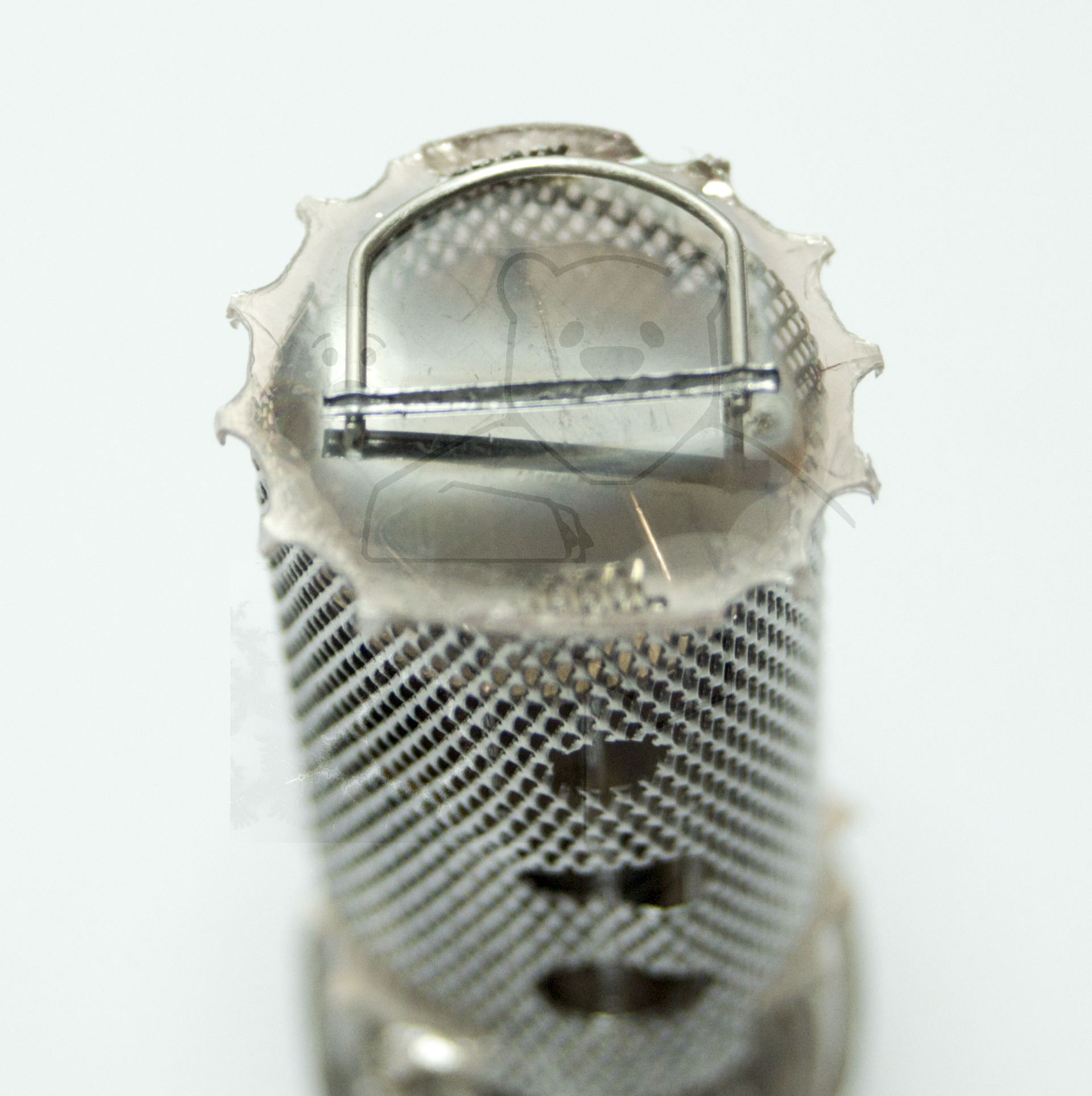 Makroaufnahme ECH81 Bild 02 - Getterring