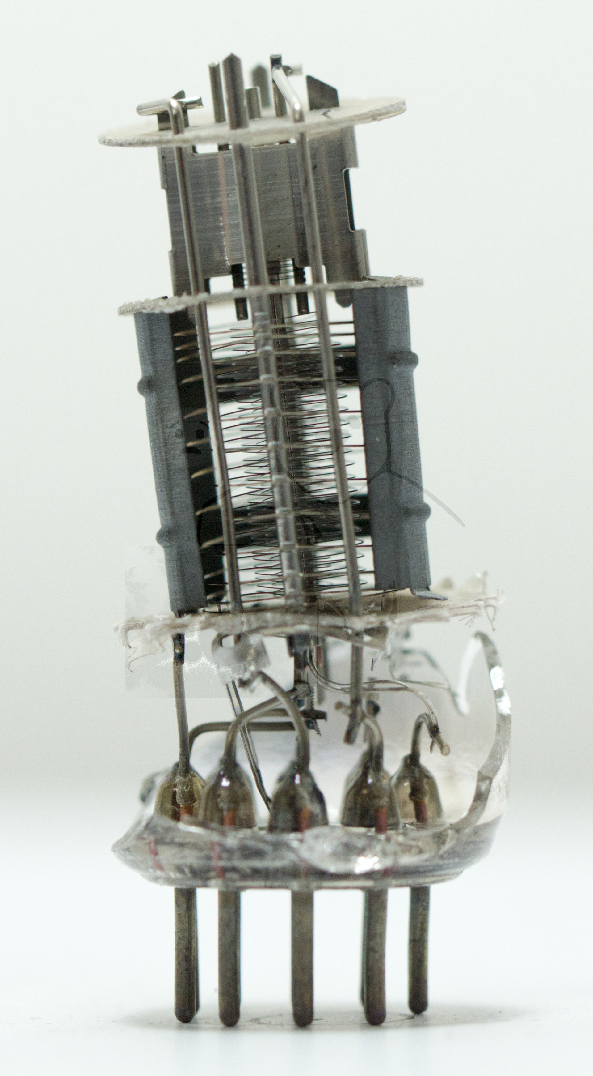 Makroaufnahme ECH81 Bild 03 - Ohne äussere Abschirmung