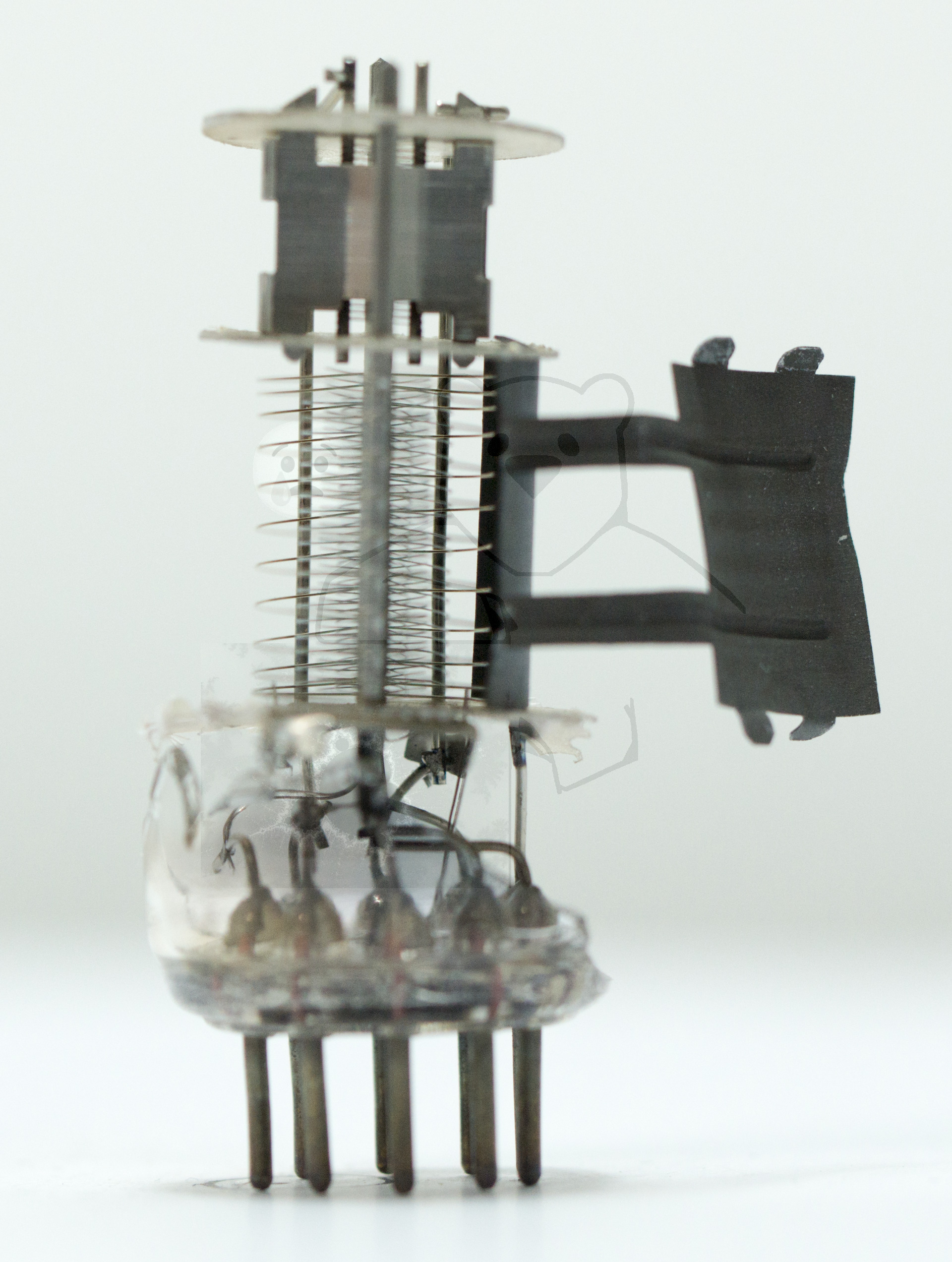 Makroaufnahme ECH81 Bild 06 - Seitliche Ansicht beider Systeme, aufgeklappte Anode