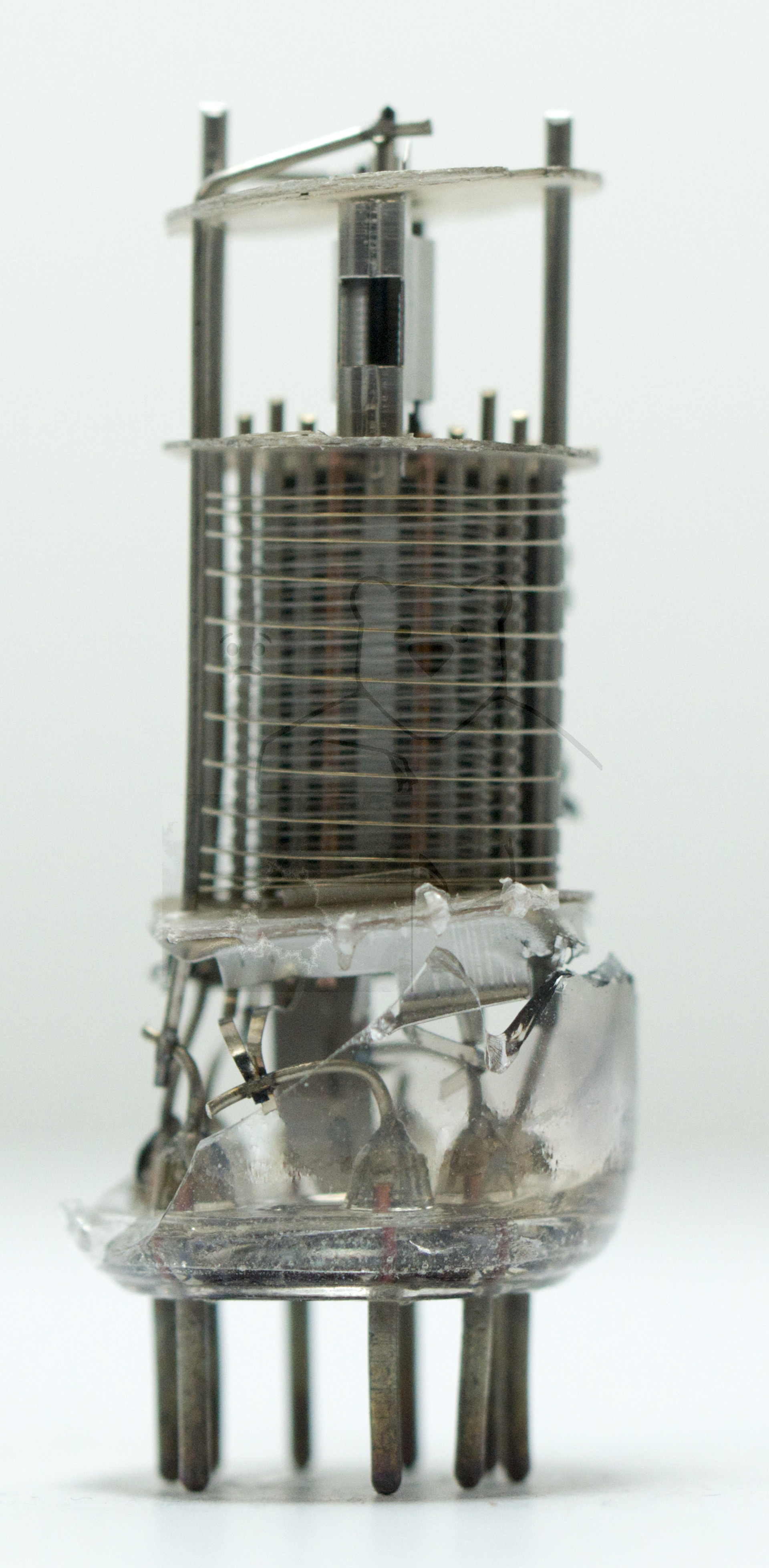 Makroaufnahme ECH81 Bild 07 - Vordere Ansicht Heptopde, eine Anode entfernt