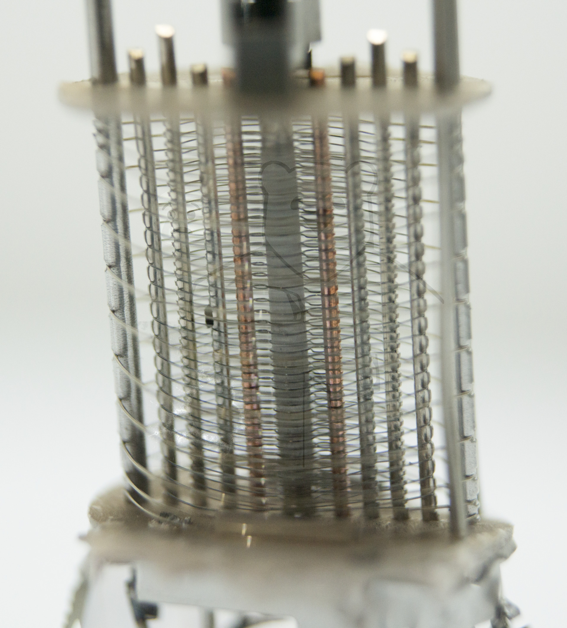 Makroaufnahme ECH81 Bild 08 - Detailaufnahme Heptodensystem ohne Anoden