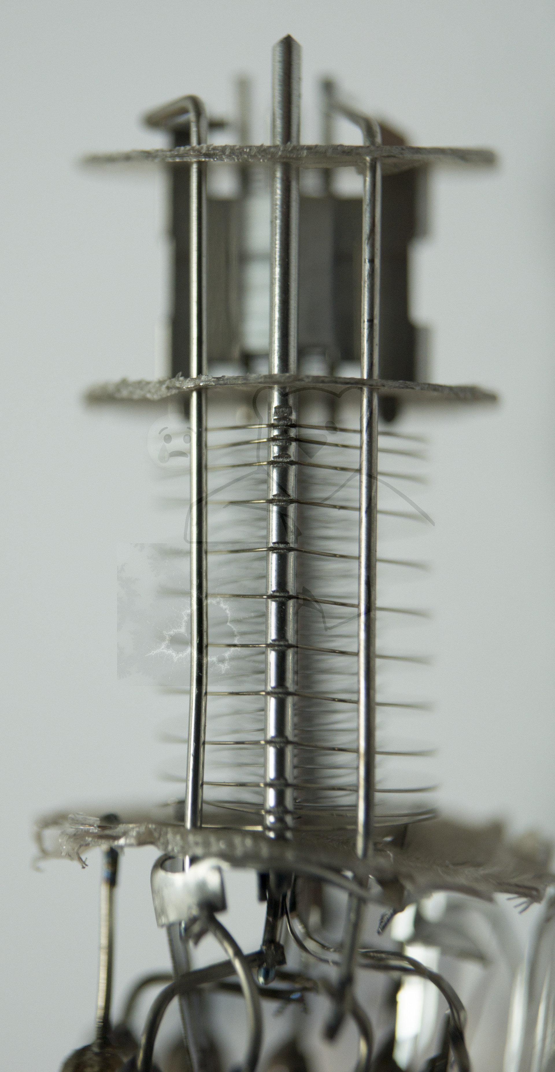 Makroaufnahme ECH81 Bild 10 - Seitliche Ansicht Heptodensystem