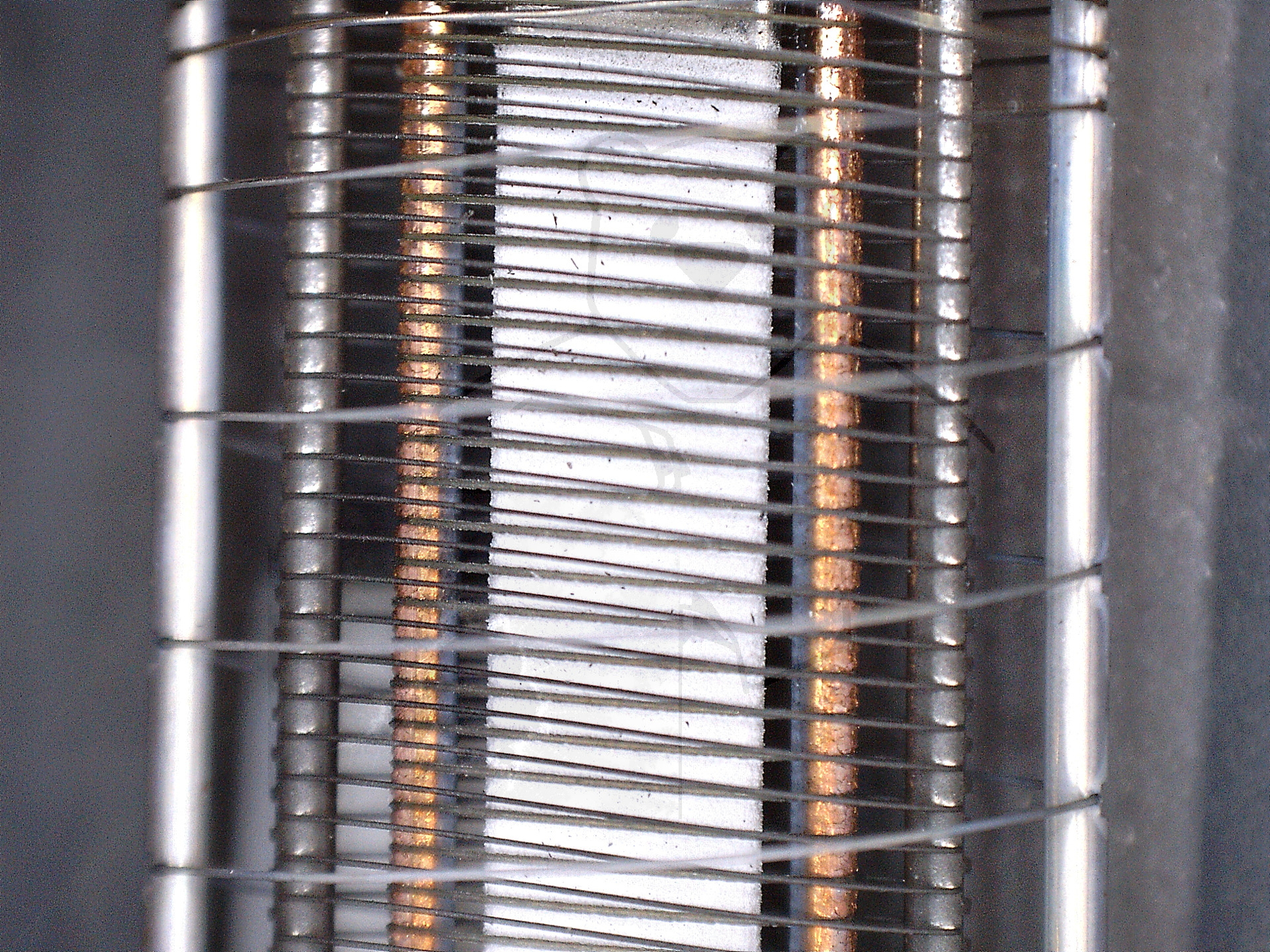 Makroaufnahme EL86 Kathode mit allen drei Gittern