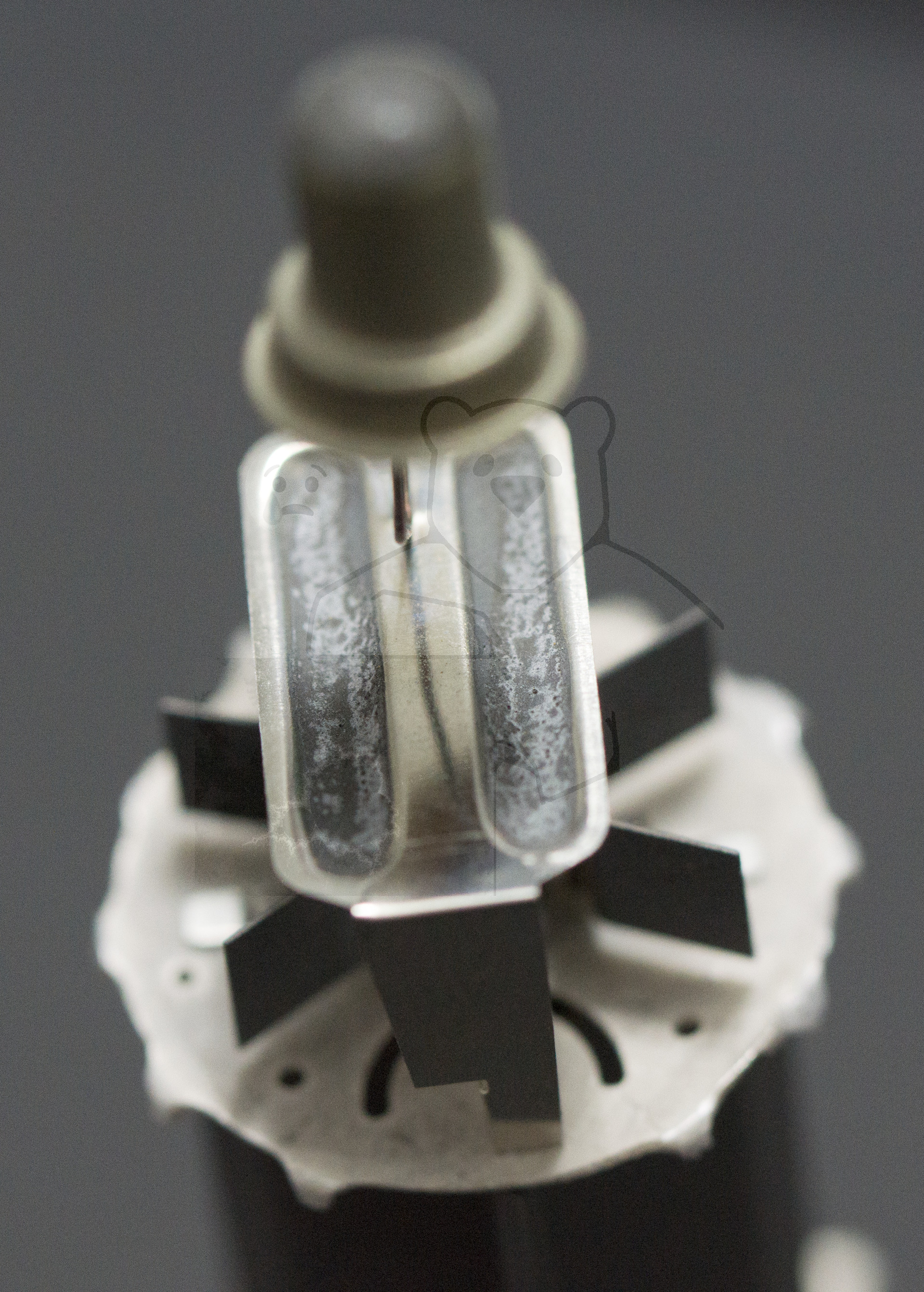 Makroaufnahme PL36 Getter