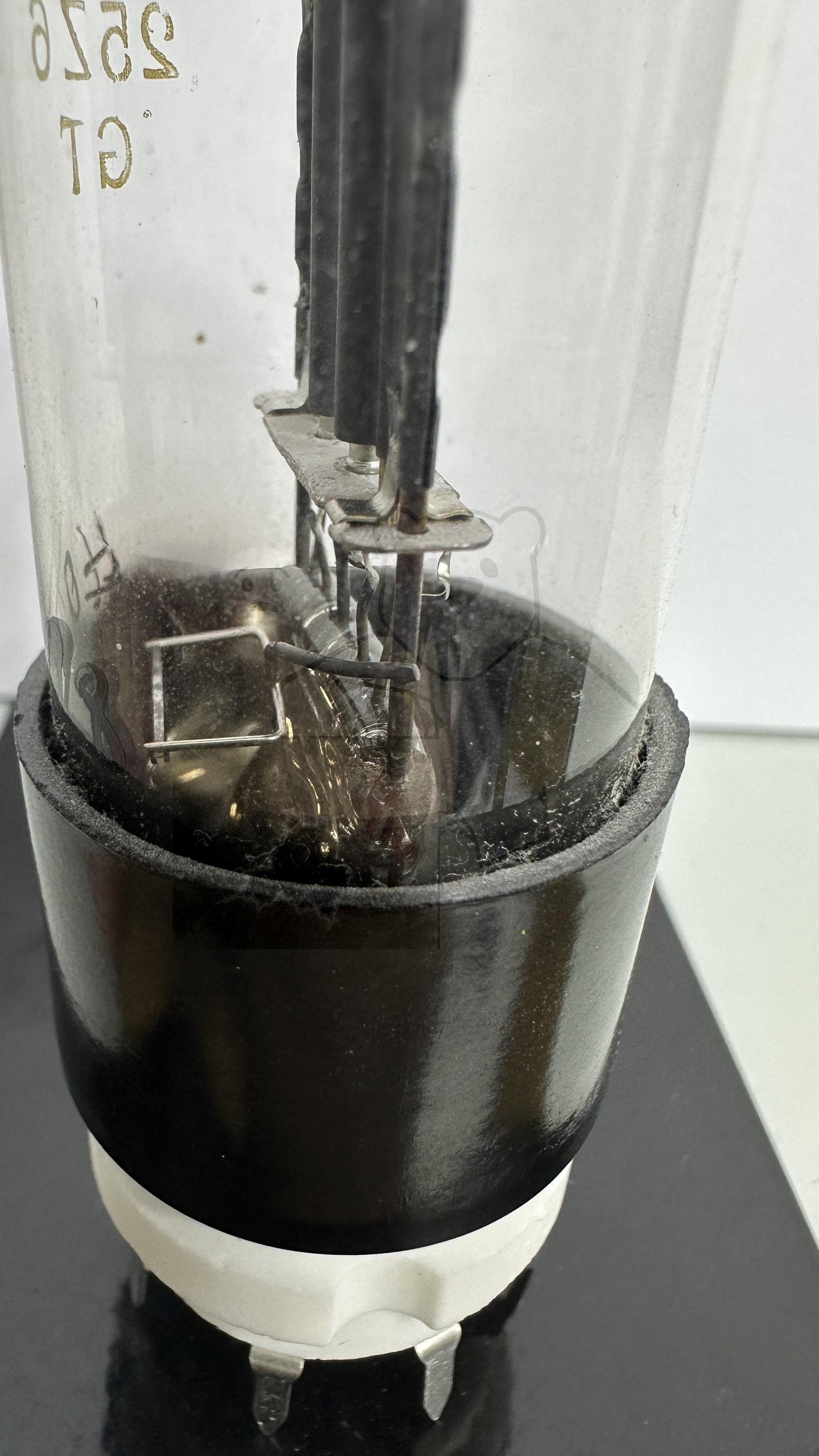 Röhre 25Z6GT #0198 Bild 3