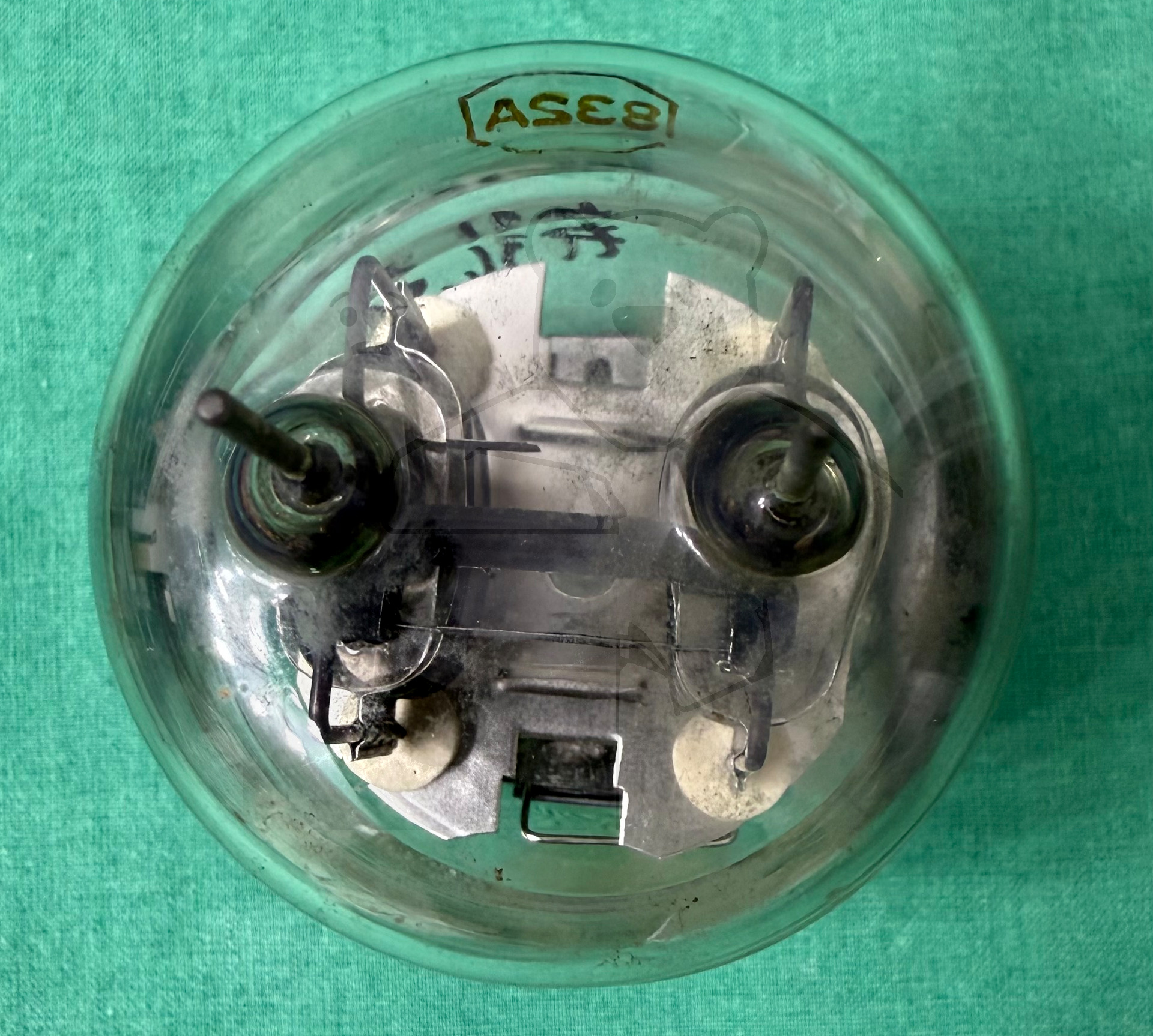 Röhre 832A #3451 Bild 12