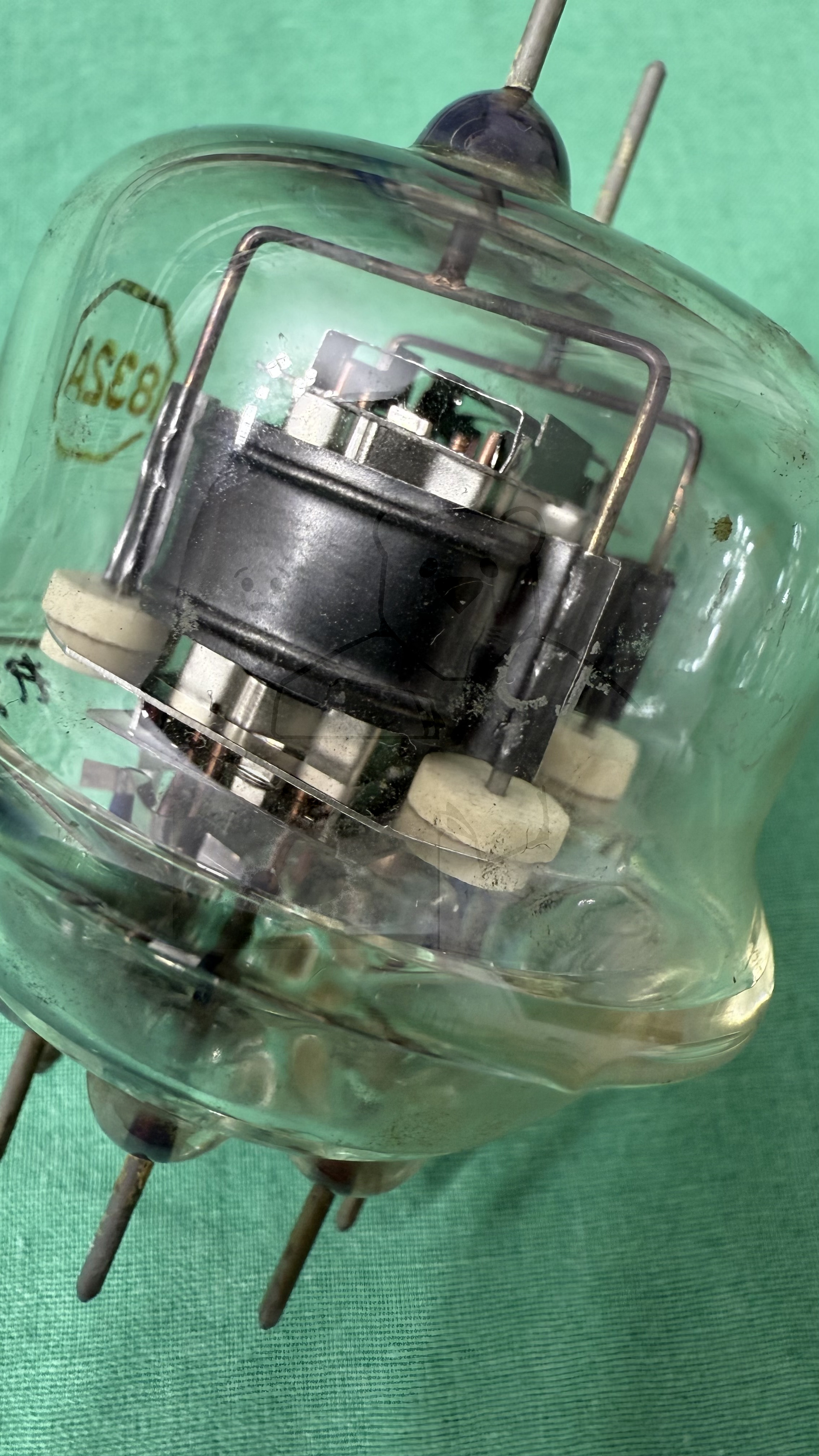 Röhre 832A #3451 Bild 13