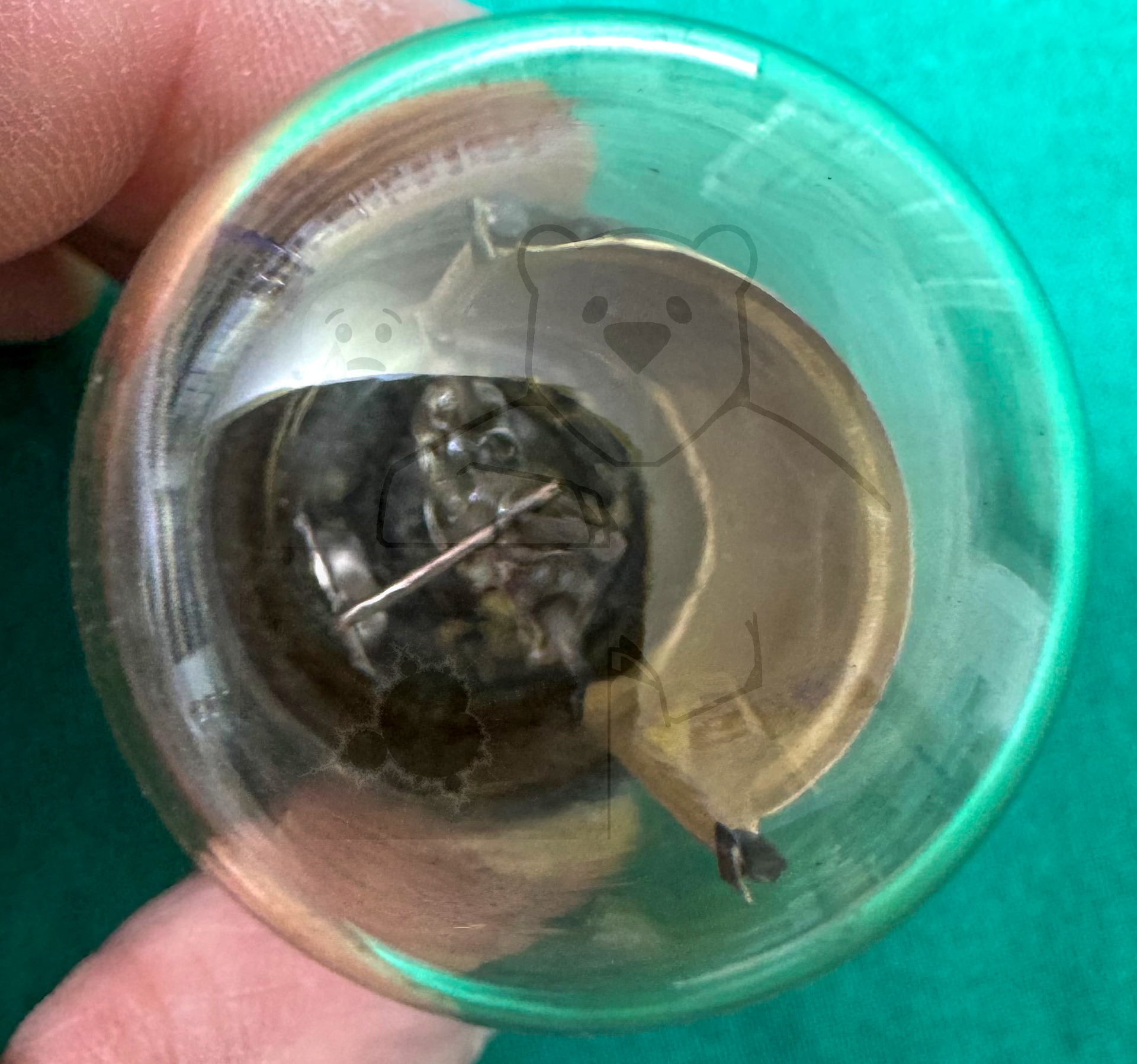 Röhre 930 #3821 Bild 9